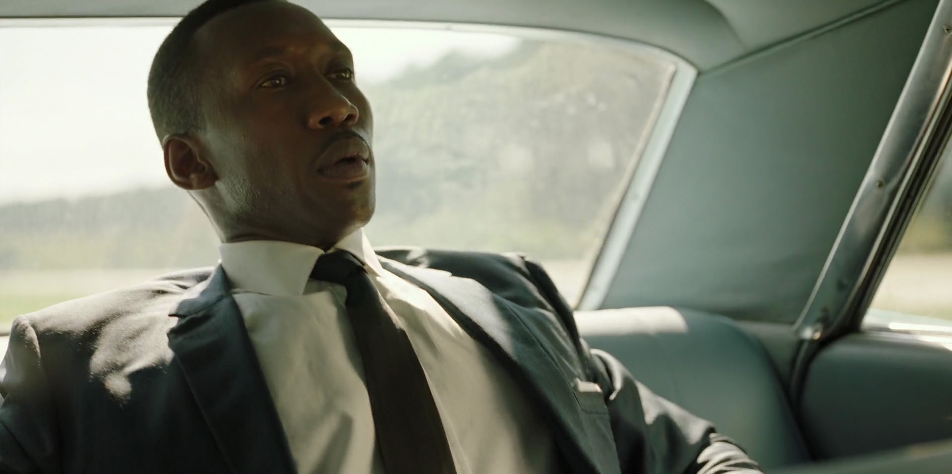 Green Book (2018) HD screenshot 3419