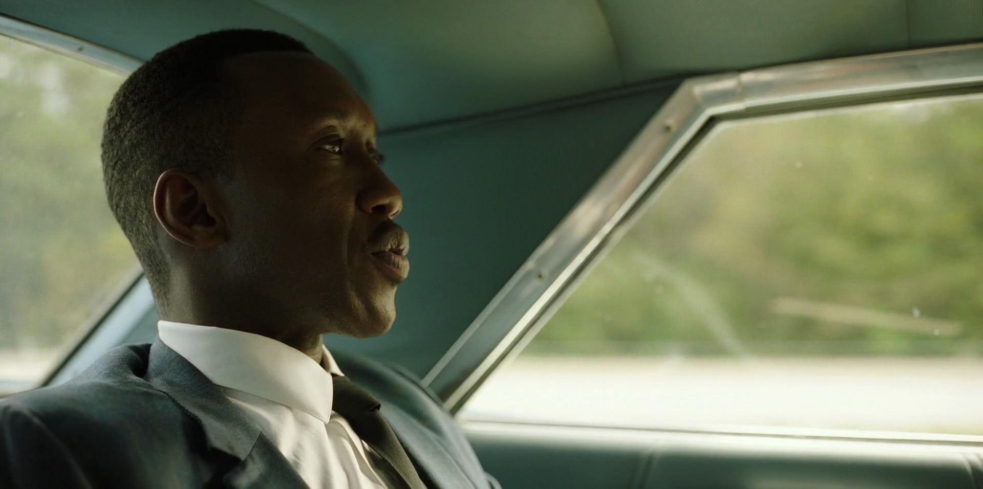 Green Book (2018) HD screenshot 3434