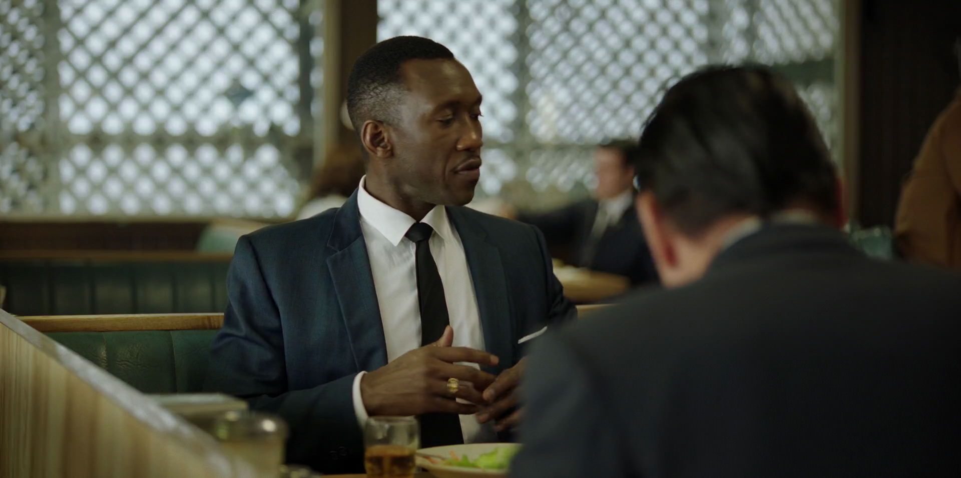 Green Book (2018) HD screenshot 3746