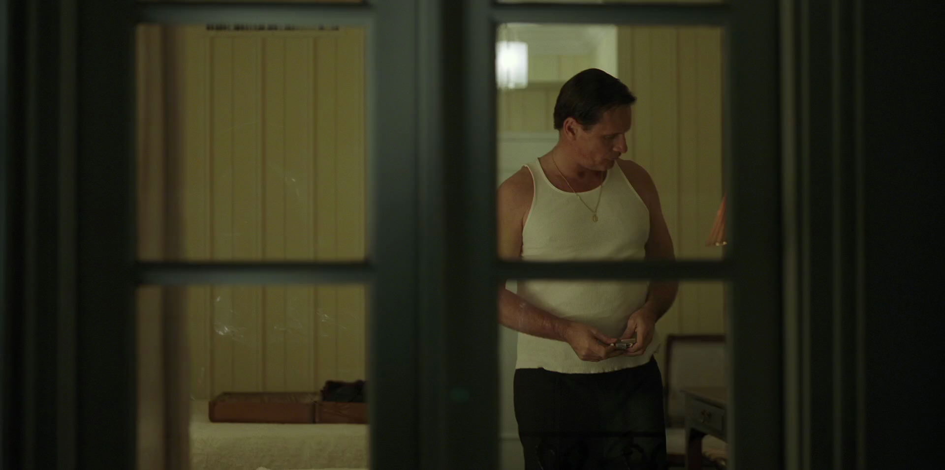 Green Book (2018) HD screenshot 4025