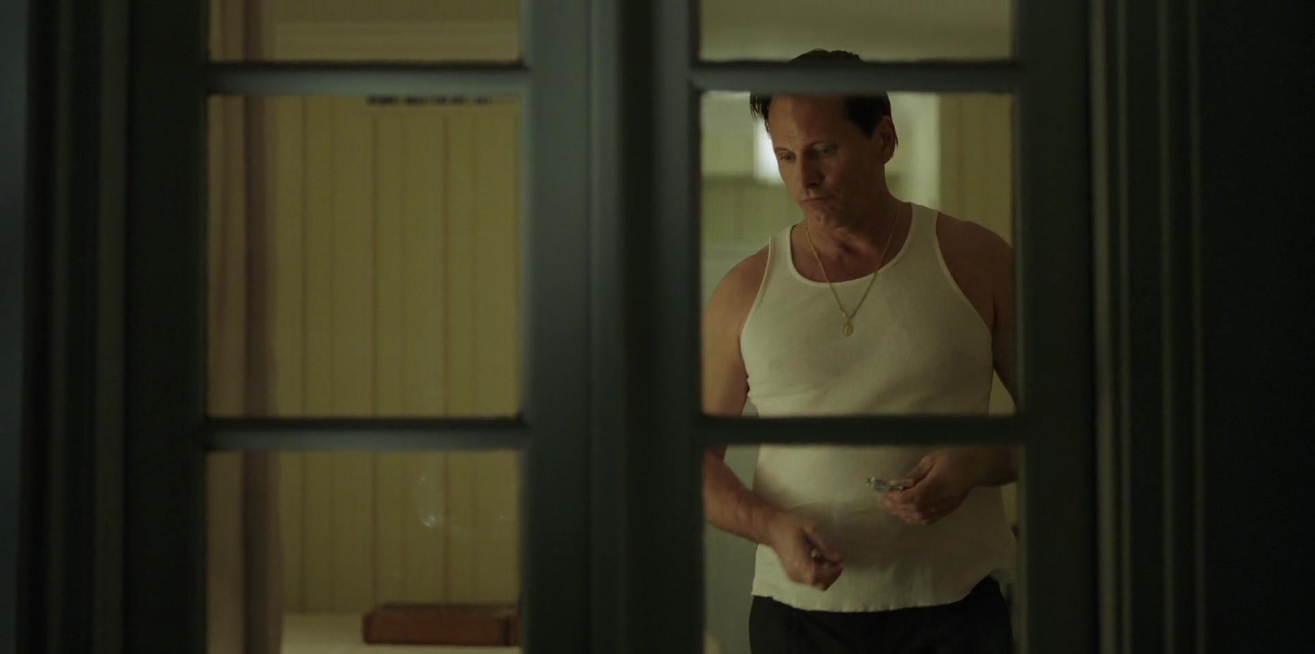 Green Book (2018) HD screenshot 4028