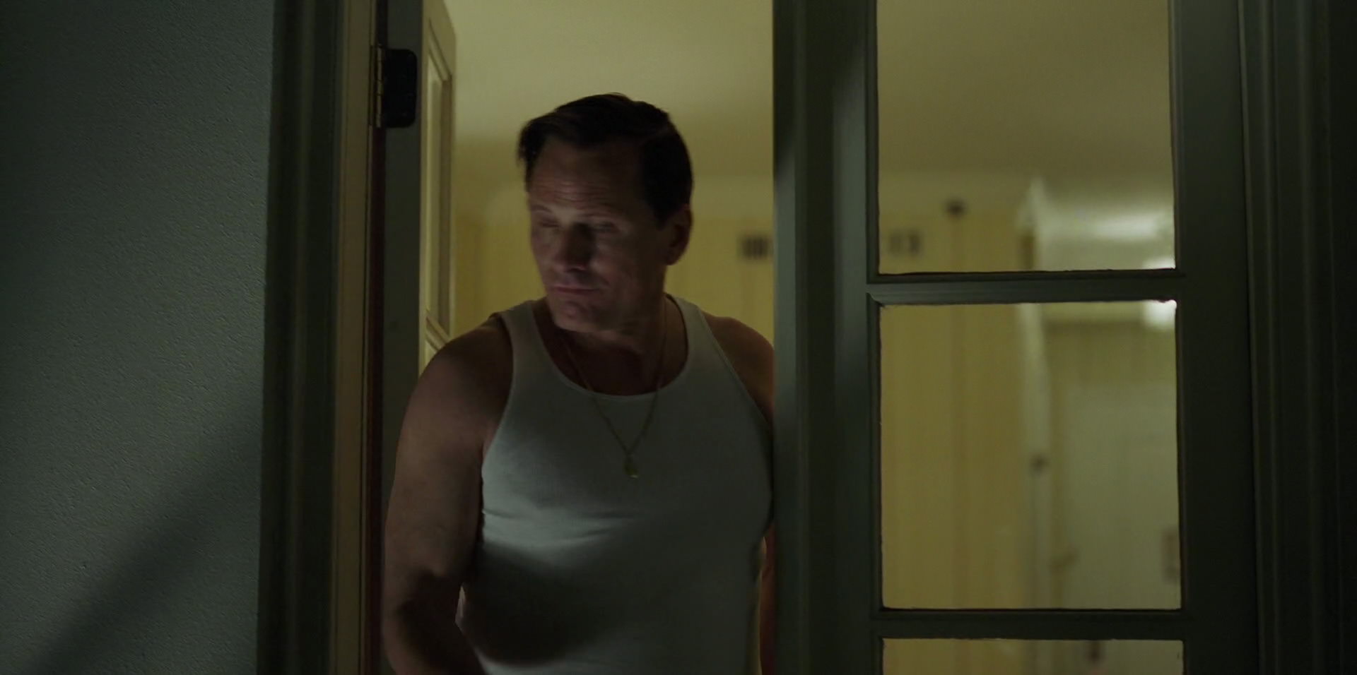 Green Book (2018) HD screenshot 4037