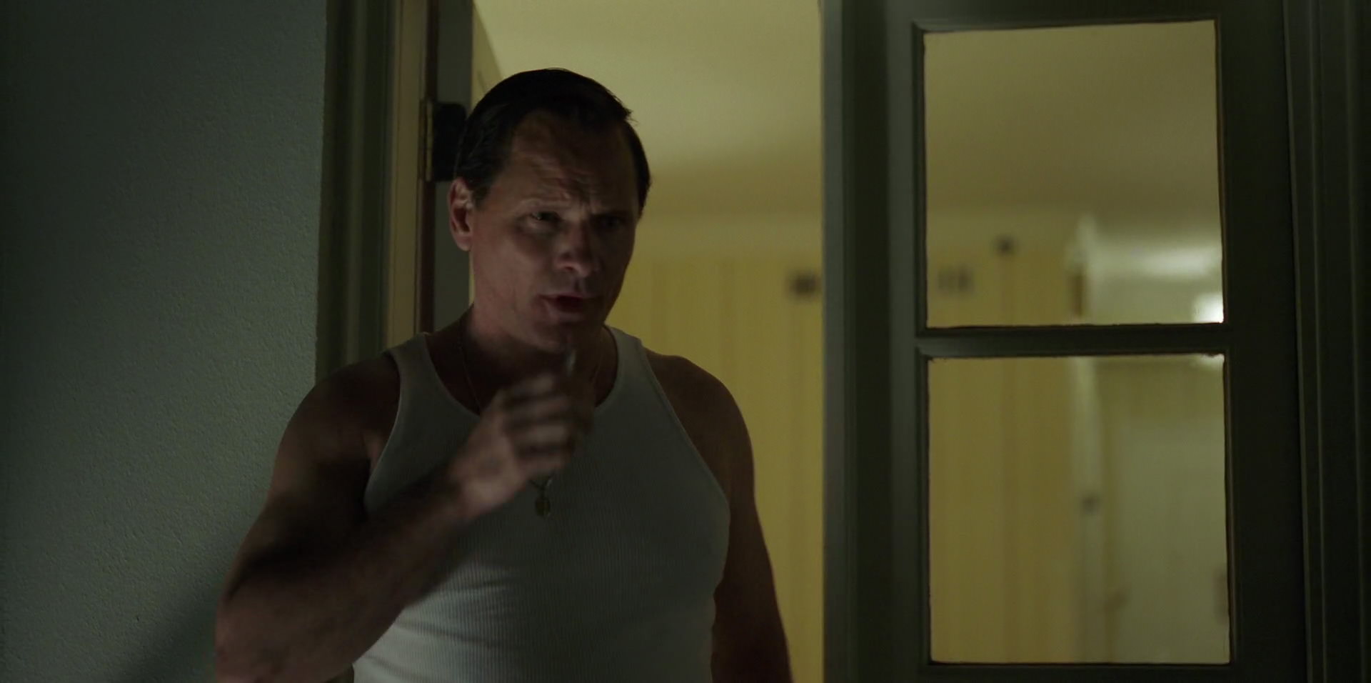 Green Book (2018) movie still 4039