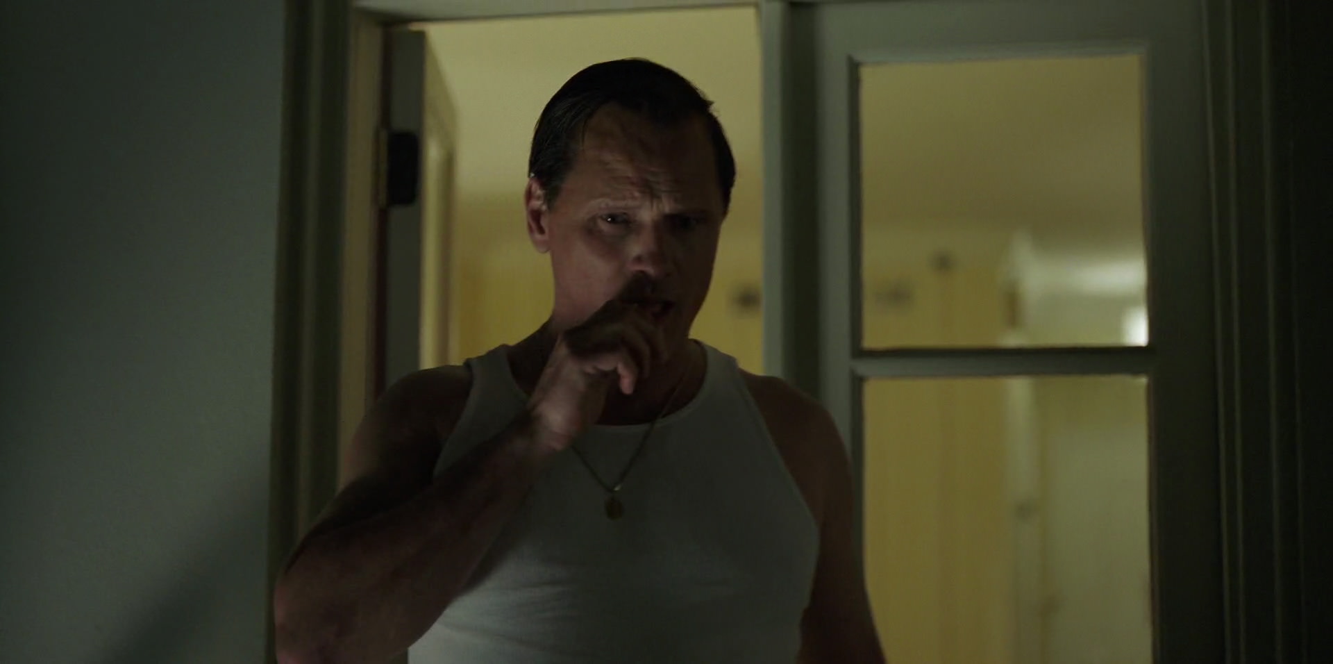 Green Book (2018) HD screenshot 4040