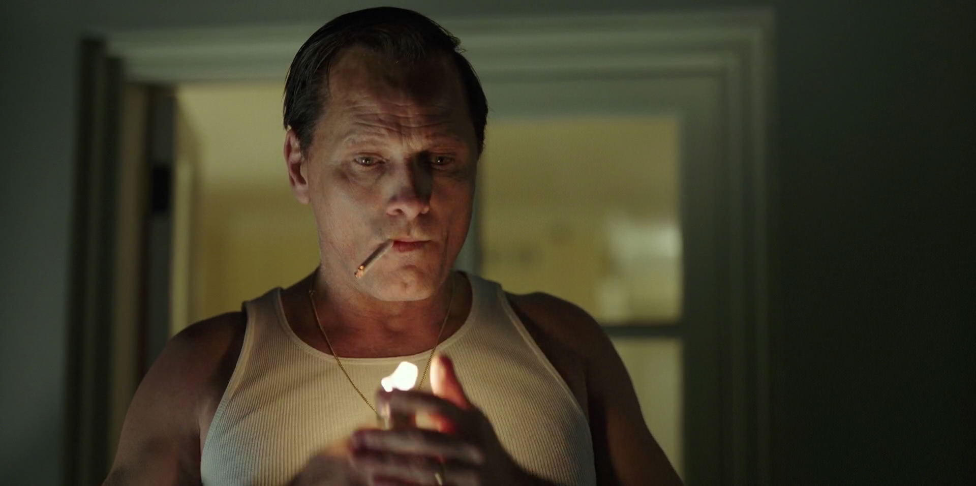 Green Book (2018) HD screenshot 4049