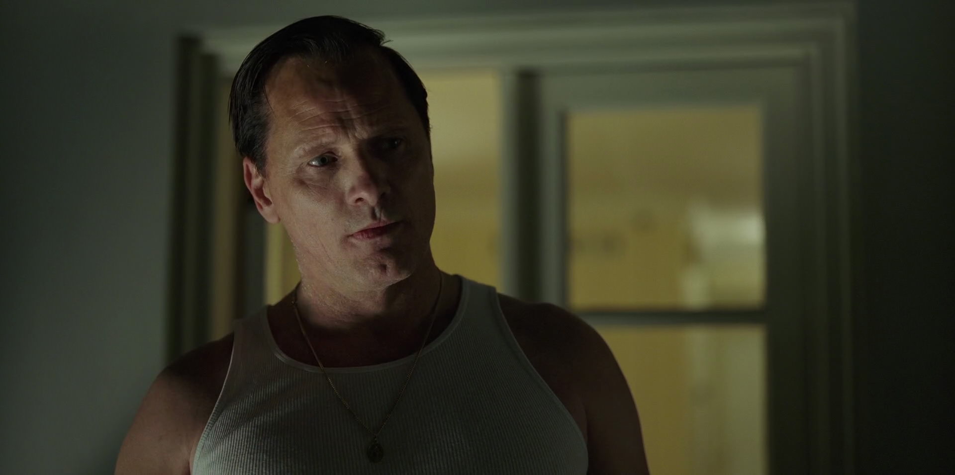 Green Book (2018) HD screenshot 4079