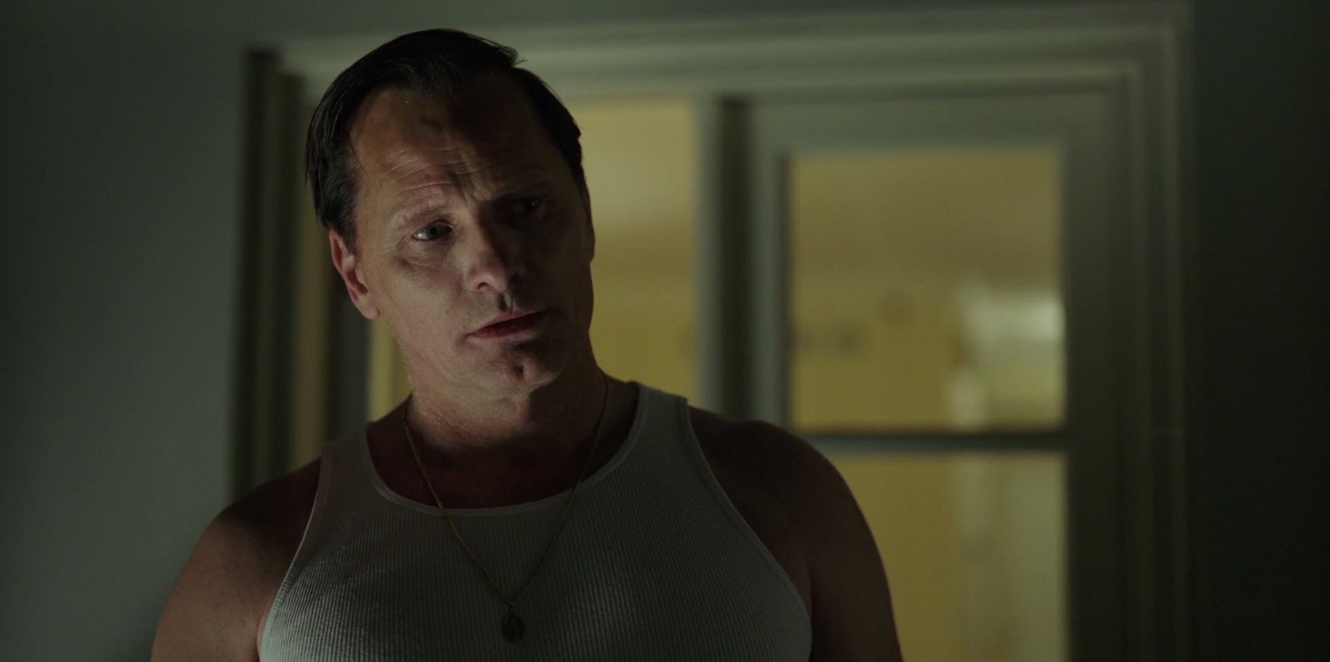 Green Book (2018) movie still 4081