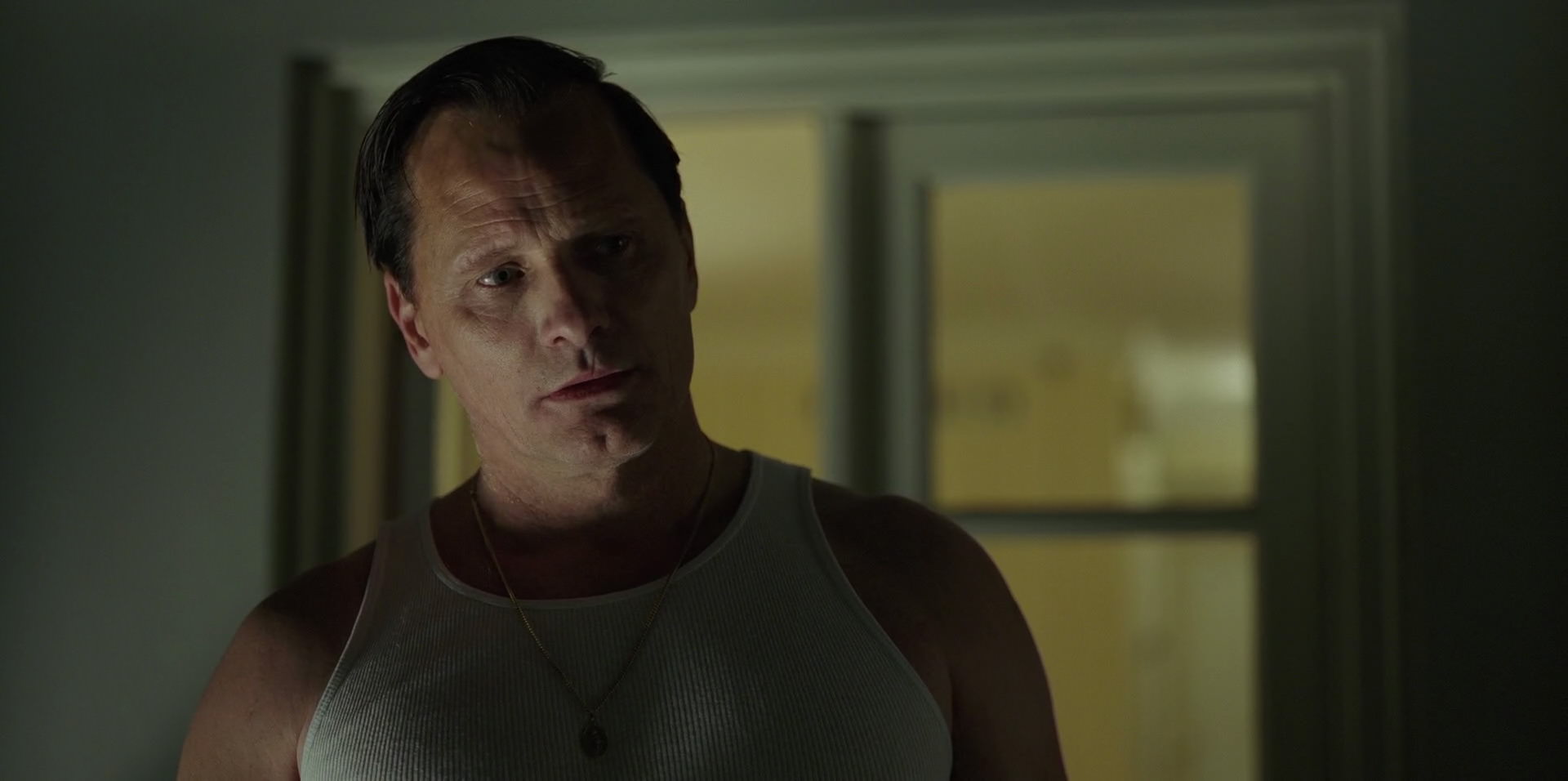 Green Book (2018) HD screenshot 4082