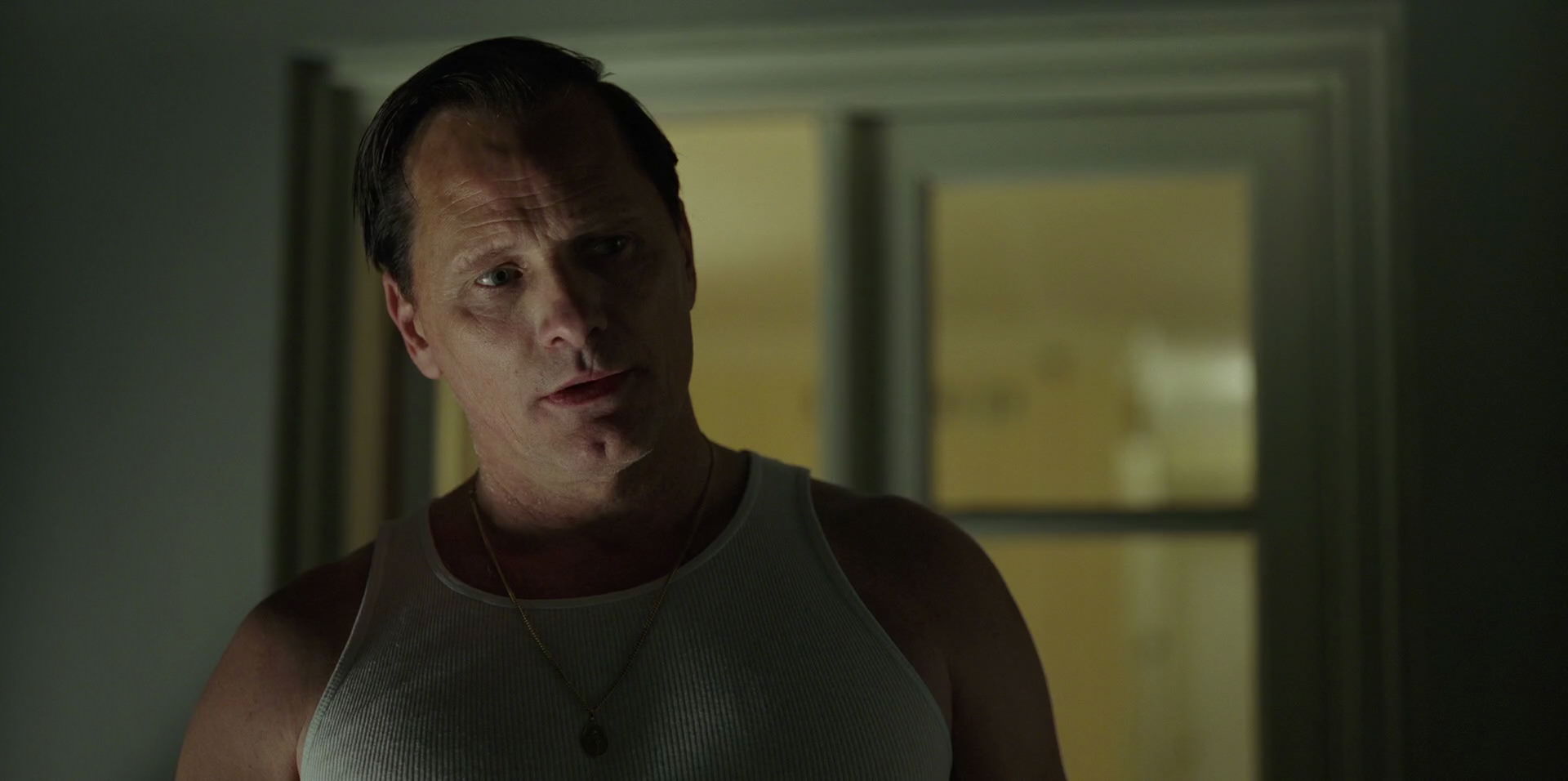 Green Book (2018) HD screenshot 4097