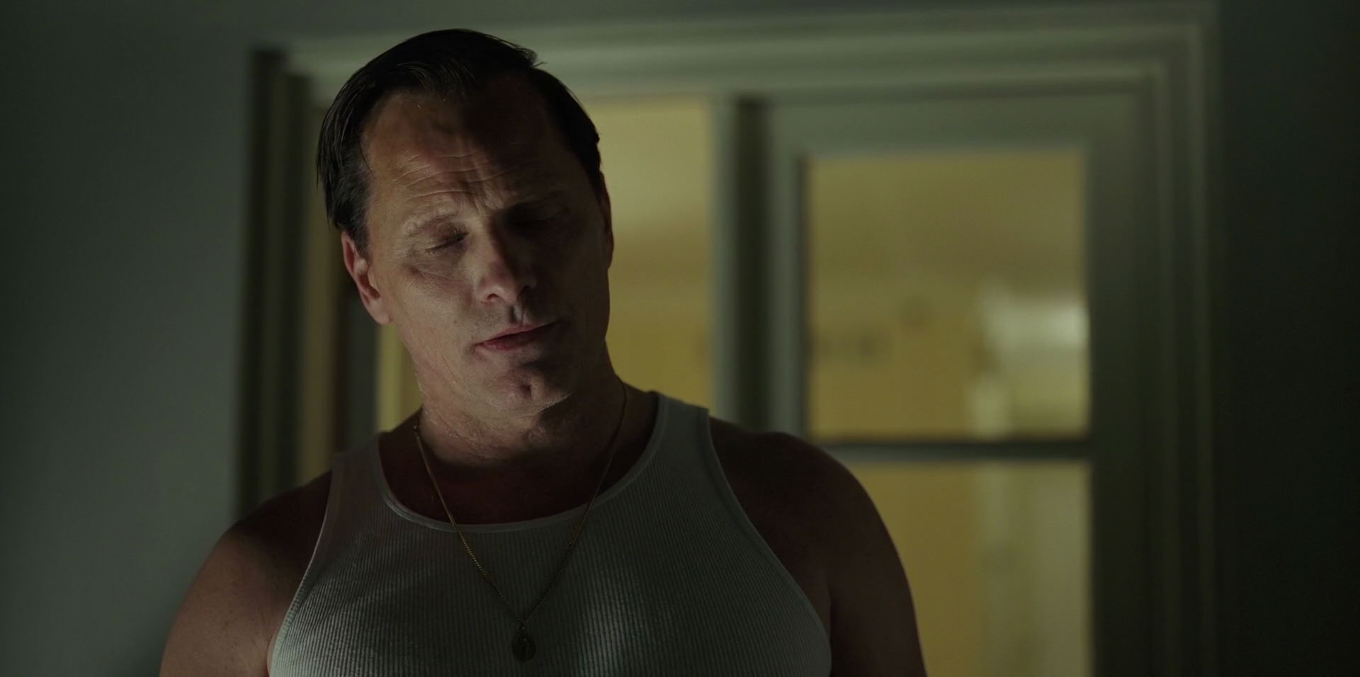 Green Book (2018) movie still 4099