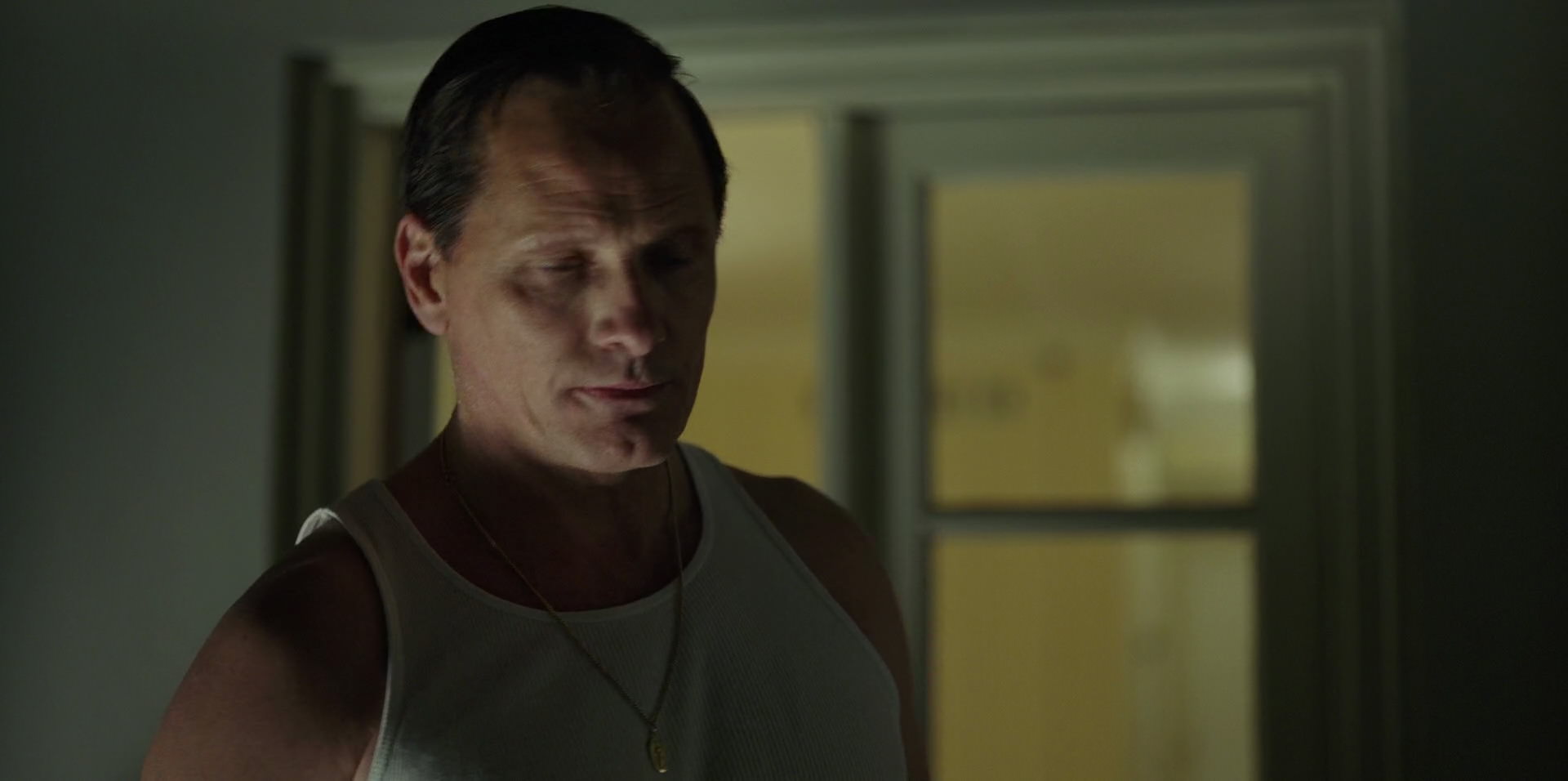 Green Book (2018) screencap 4101
