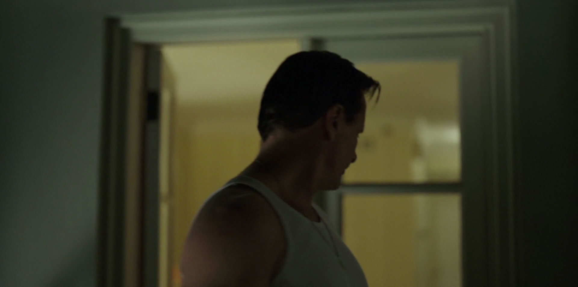 Green Book (2018) HD screenshot 4103