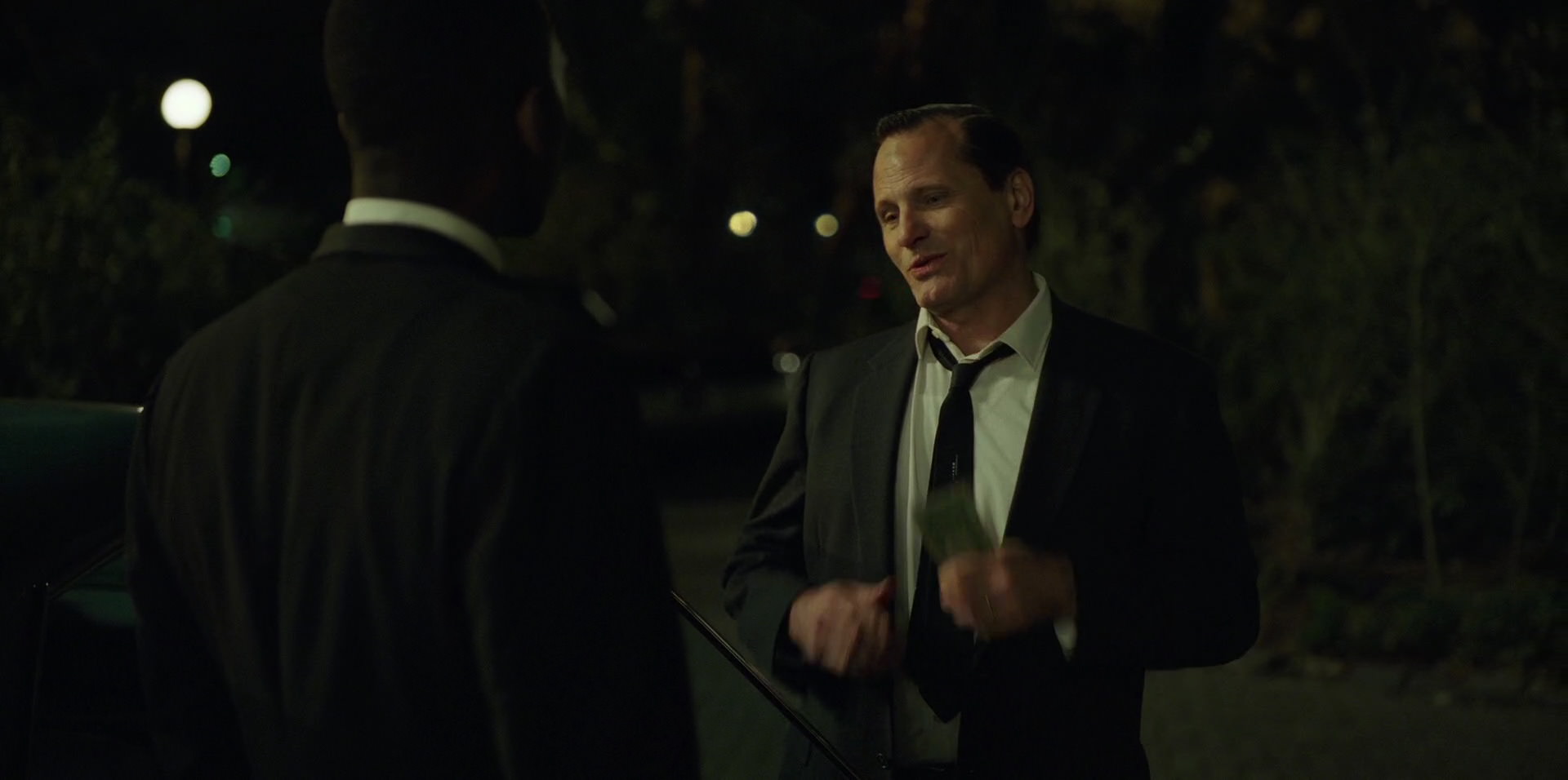 Green Book (2018) HD screenshot 4742