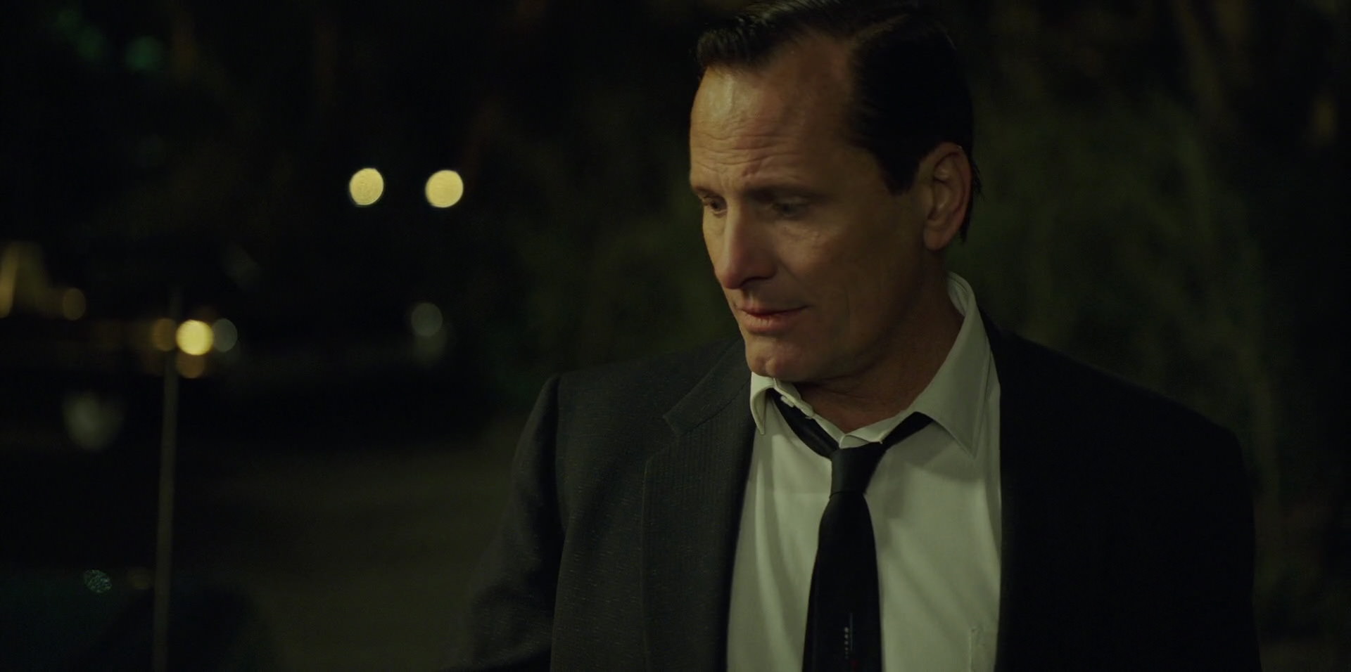 Green Book (2018) HD screenshot 4784