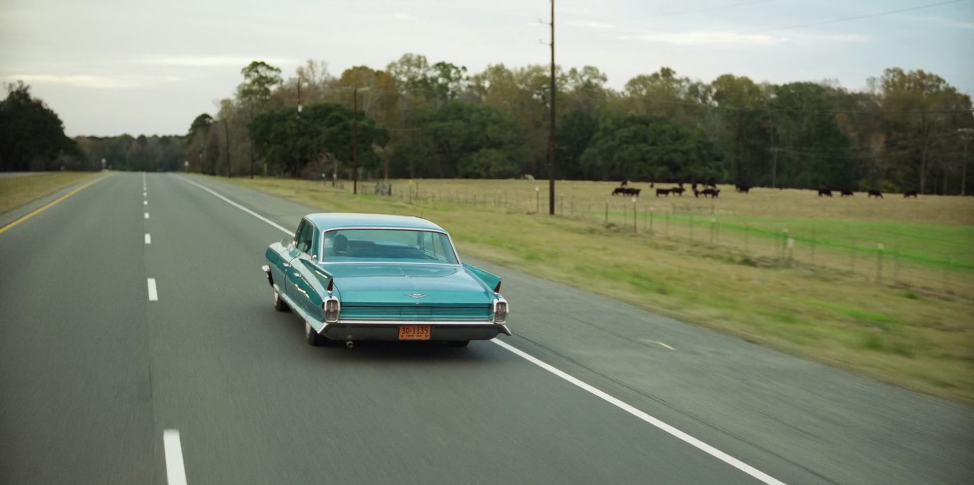 Green Book (2018) HD screenshot 5045