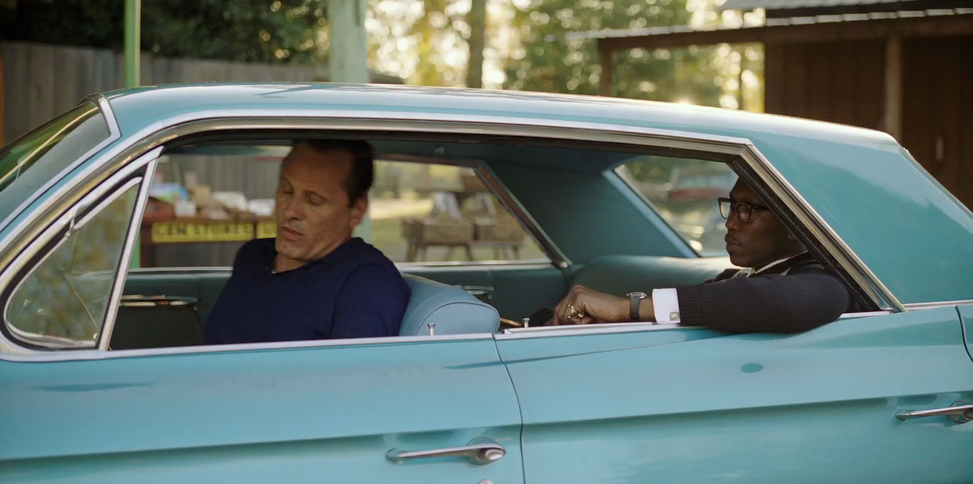 Green Book (2018) movie still 5329