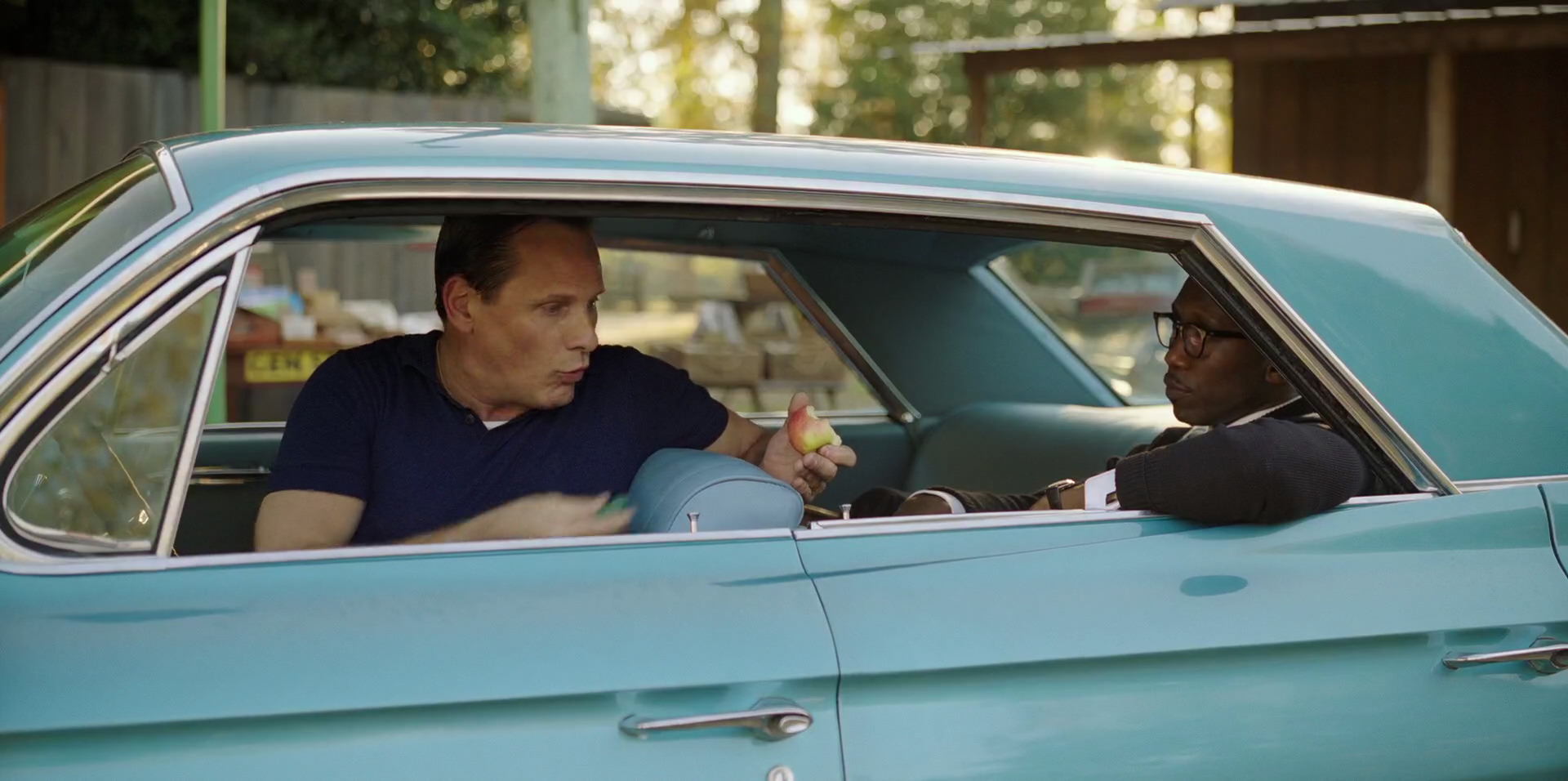 Green Book (2018) movie still 5368
