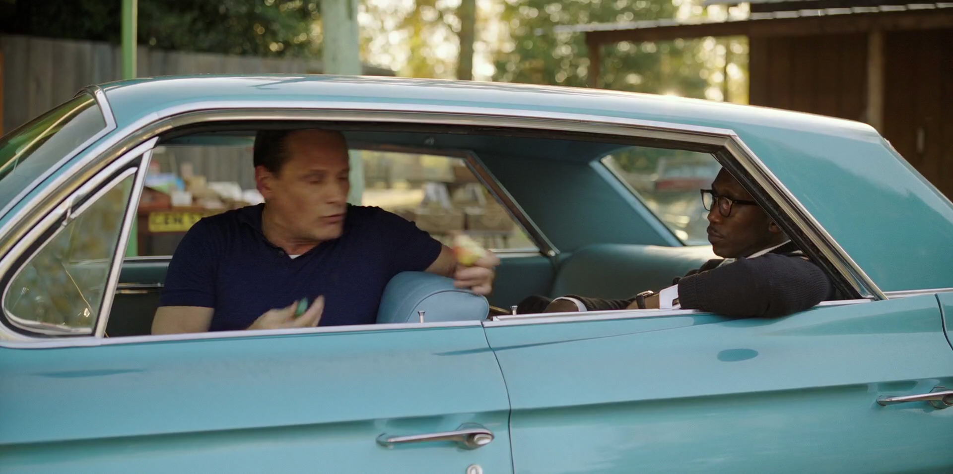 Green Book (2018) HD screenshot 5369