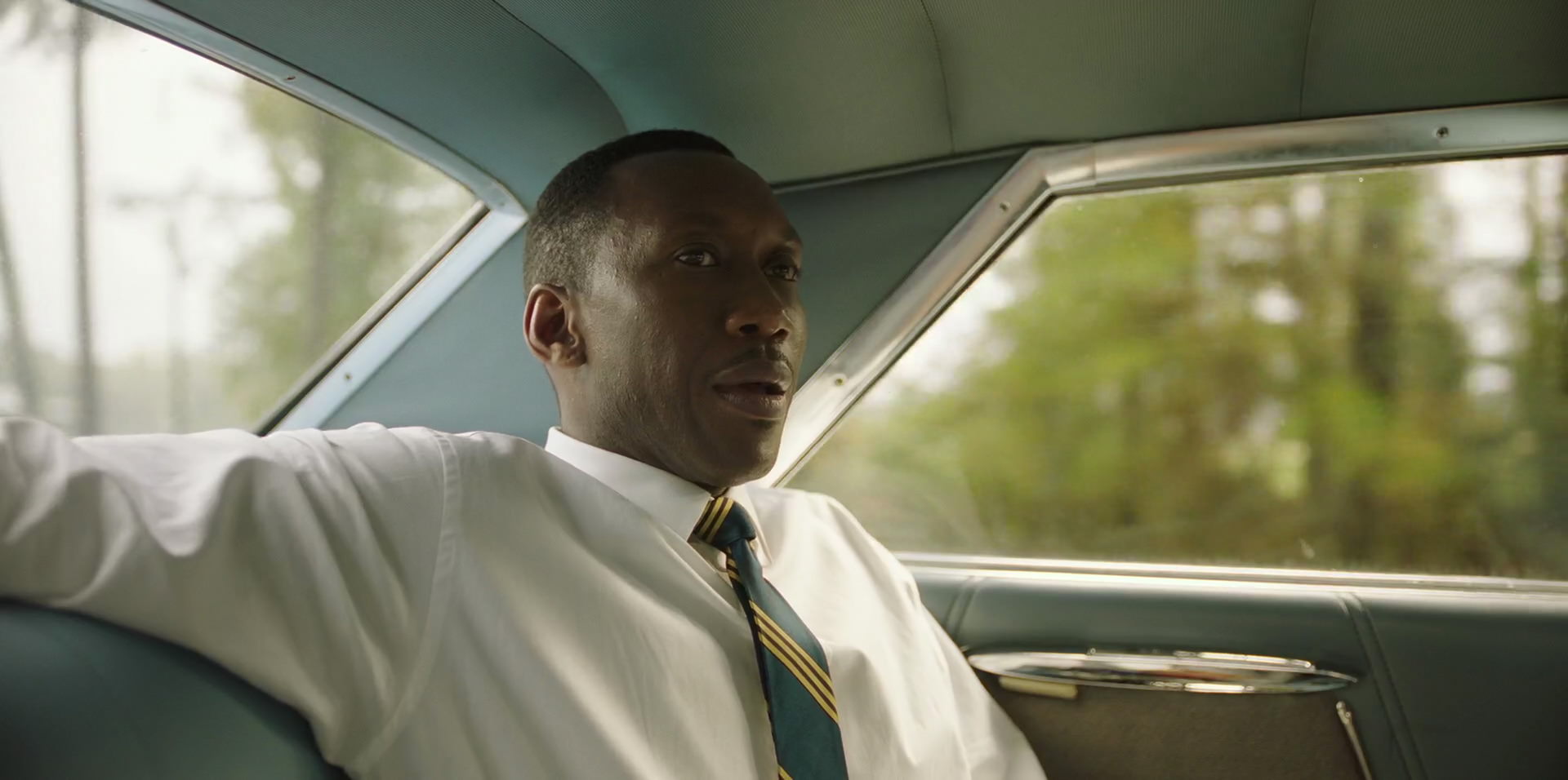 Green Book (2018) HD screenshot 5861
