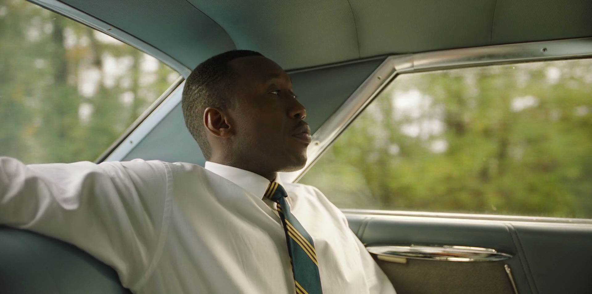 Green Book (2018) HD screenshot 5864