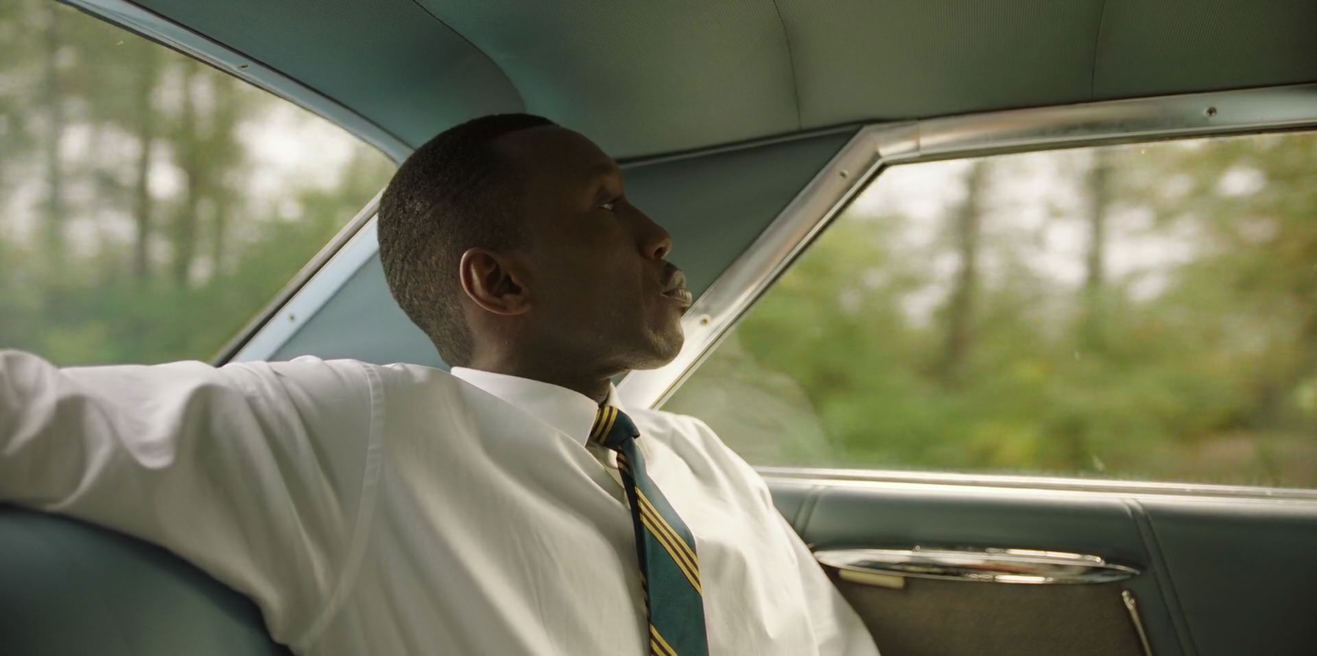 Green Book (2018) HD screenshot 5867