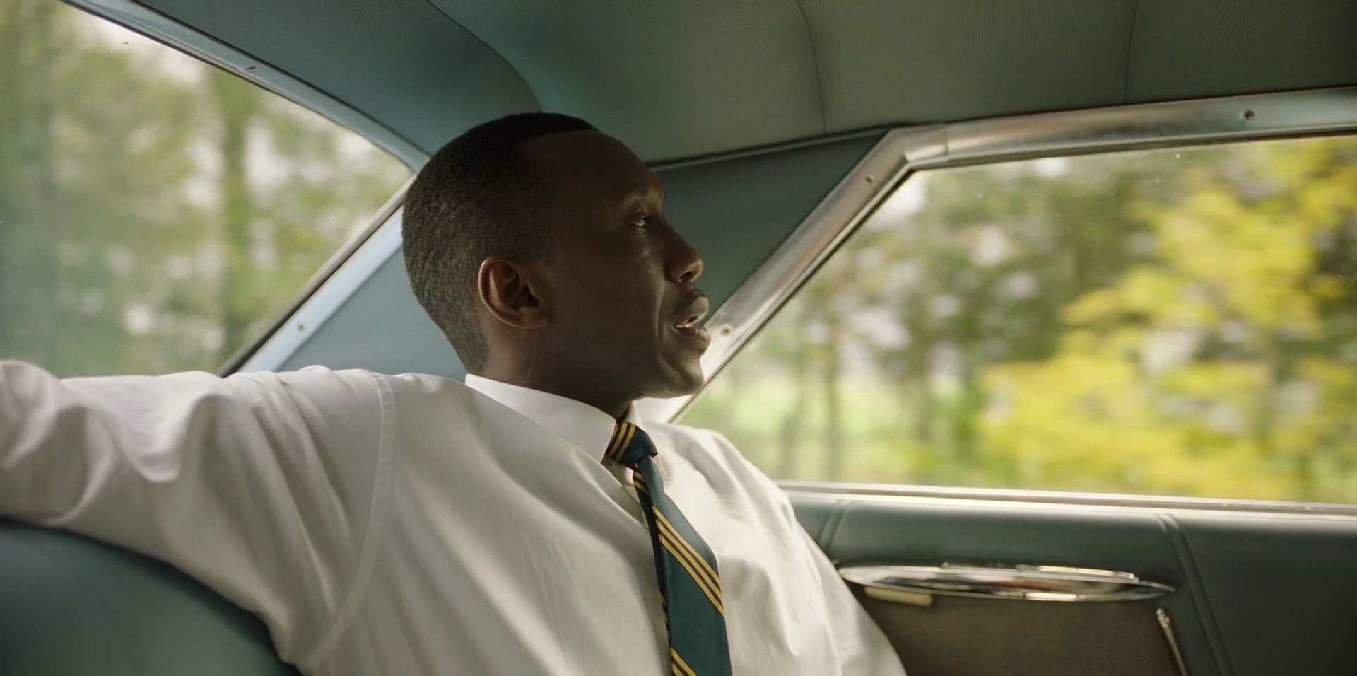 Green Book (2018) HD screenshot 5873