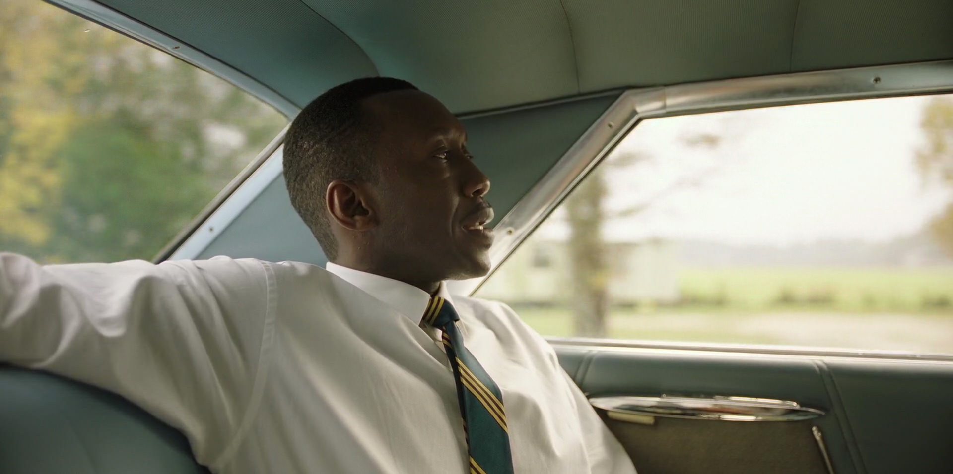 Green Book (2018) HD screenshot 5876