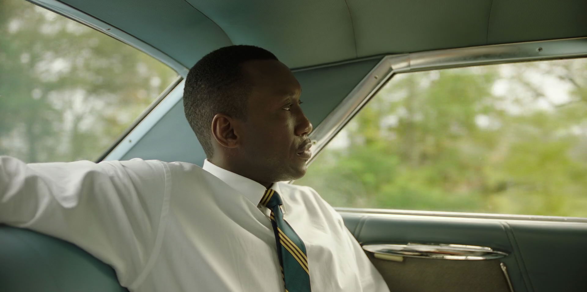Green Book (2018) HD screenshot 5900