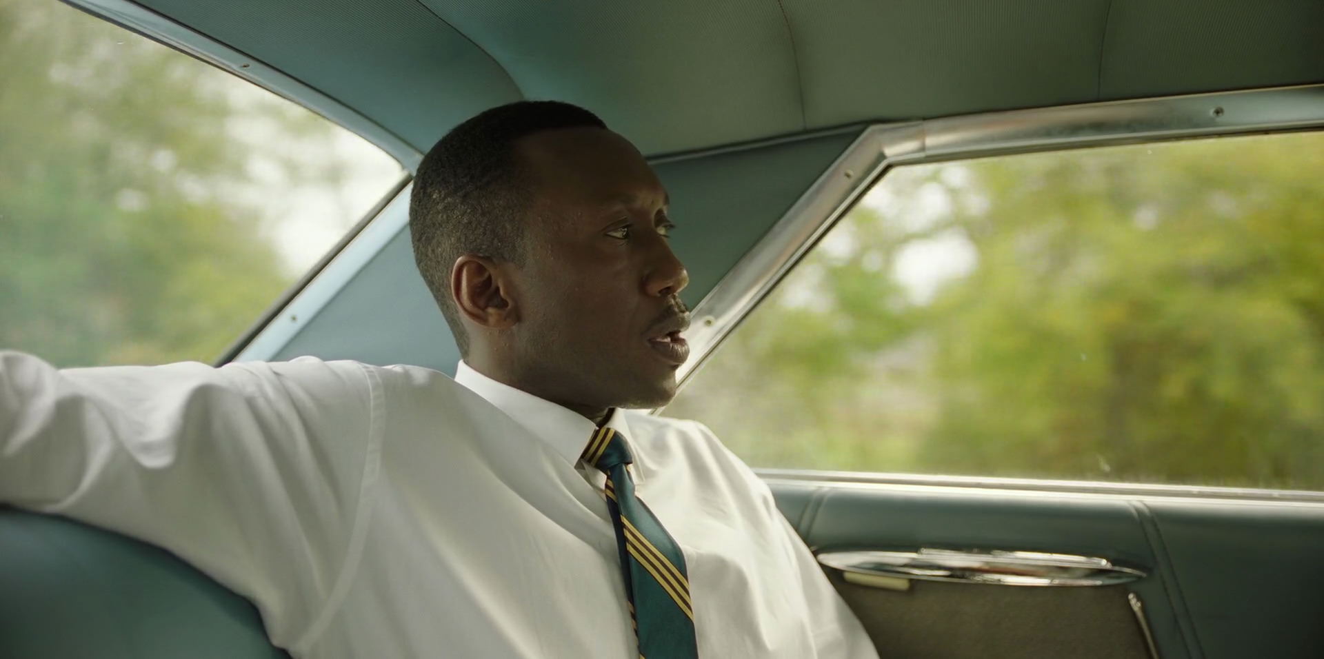Green Book (2018) HD screenshot 5903