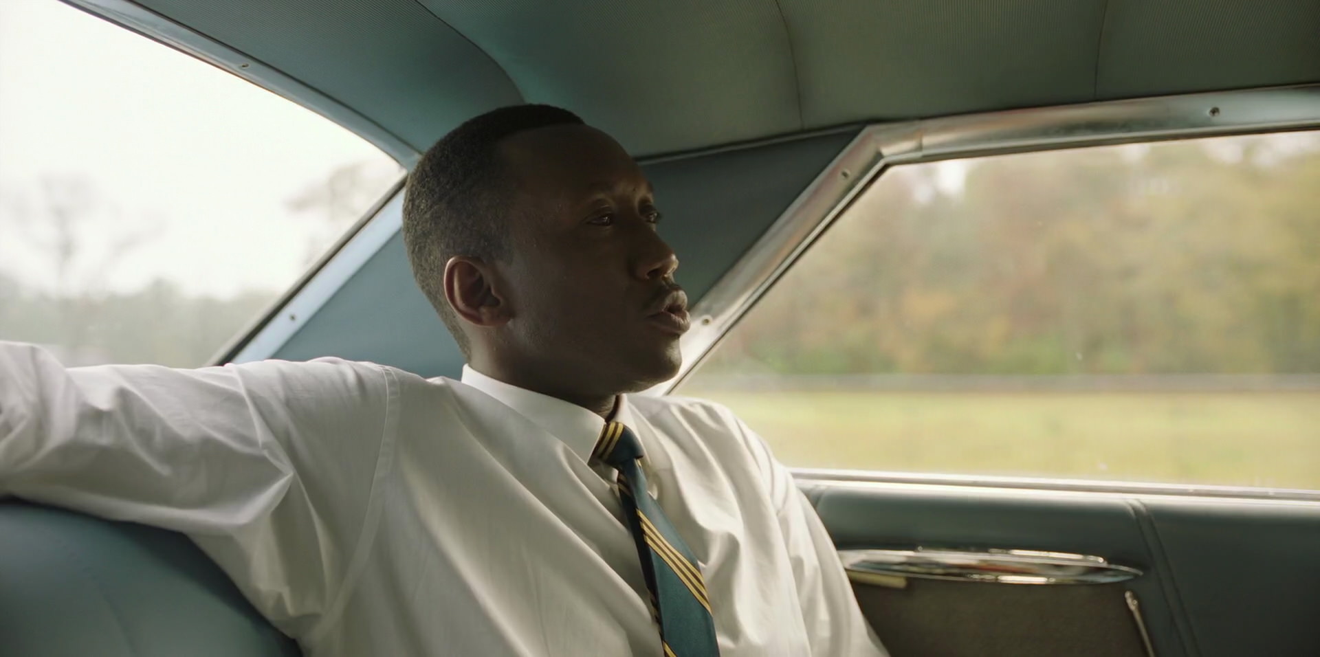 Green Book (2018) HD screenshot 5909