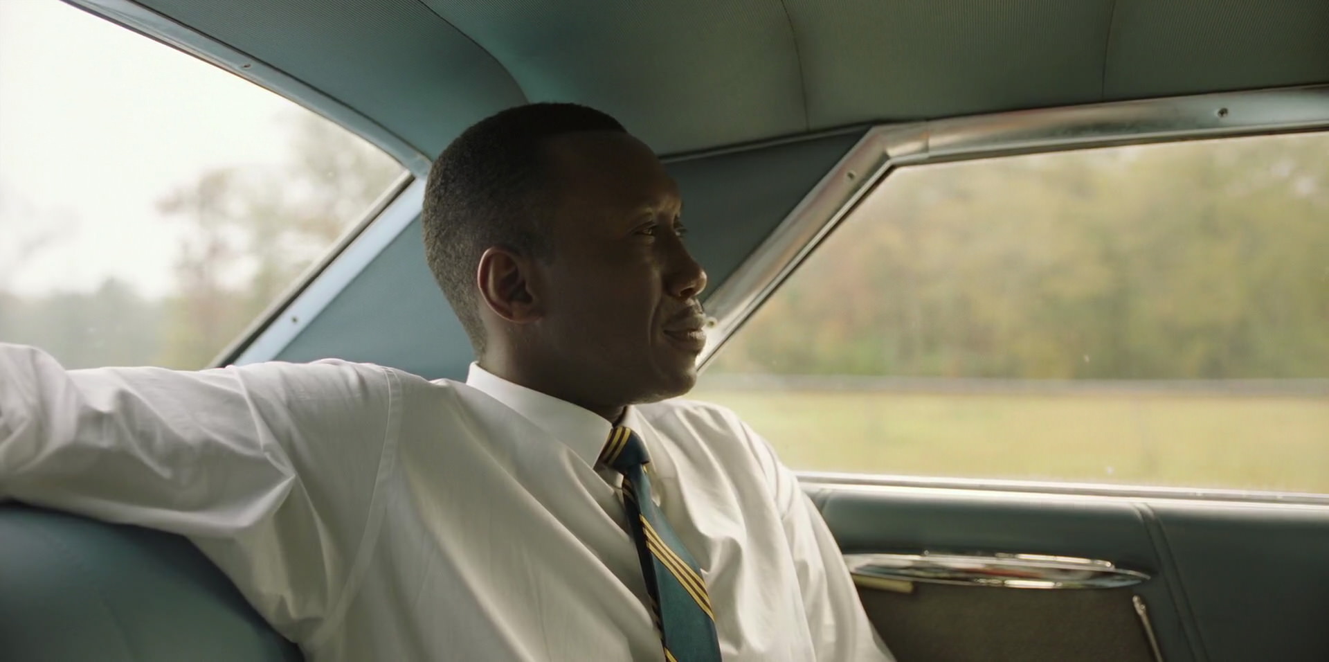 Green Book (2018) HD screenshot 5912