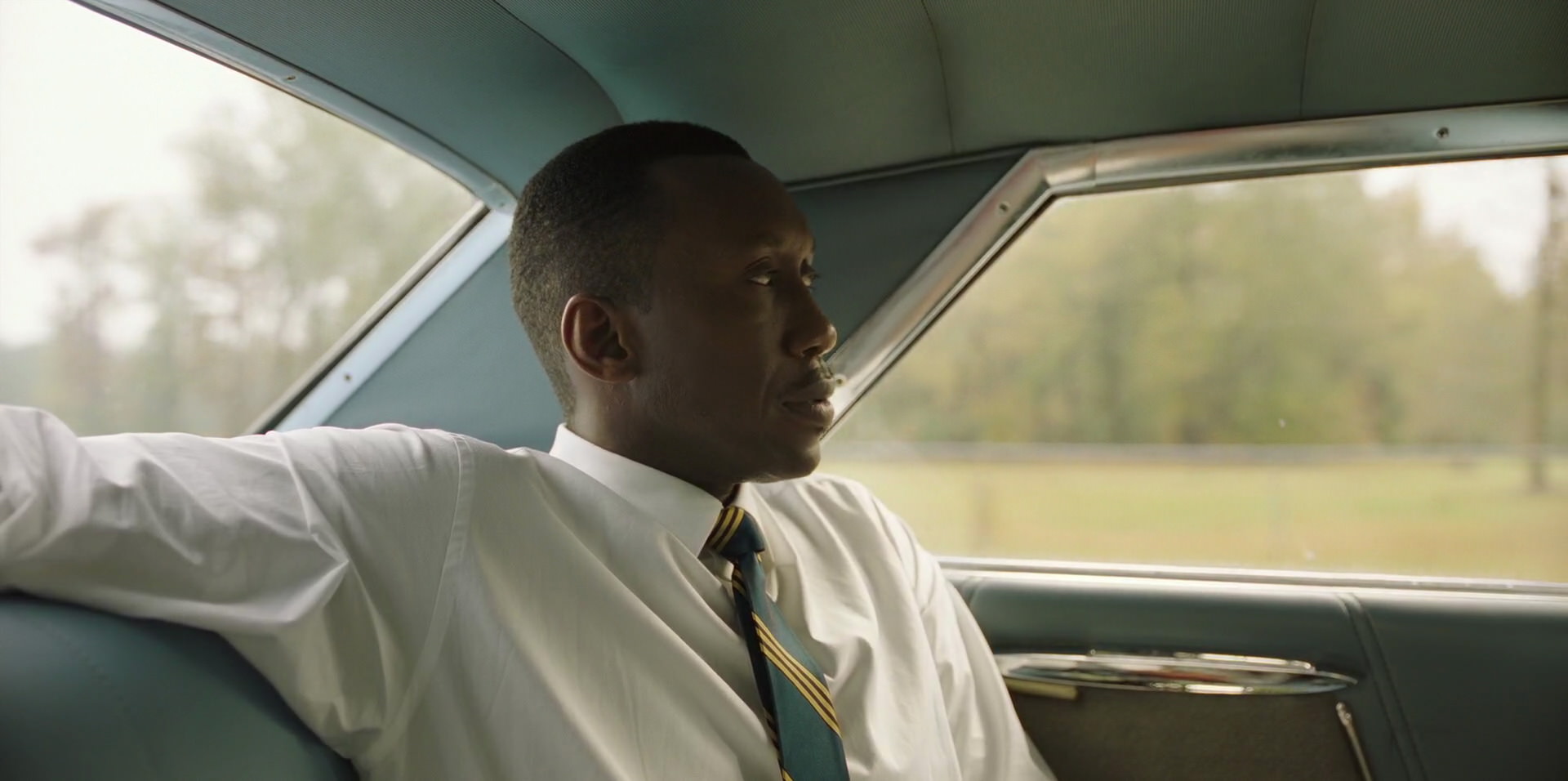 Green Book (2018) HD screenshot 5915