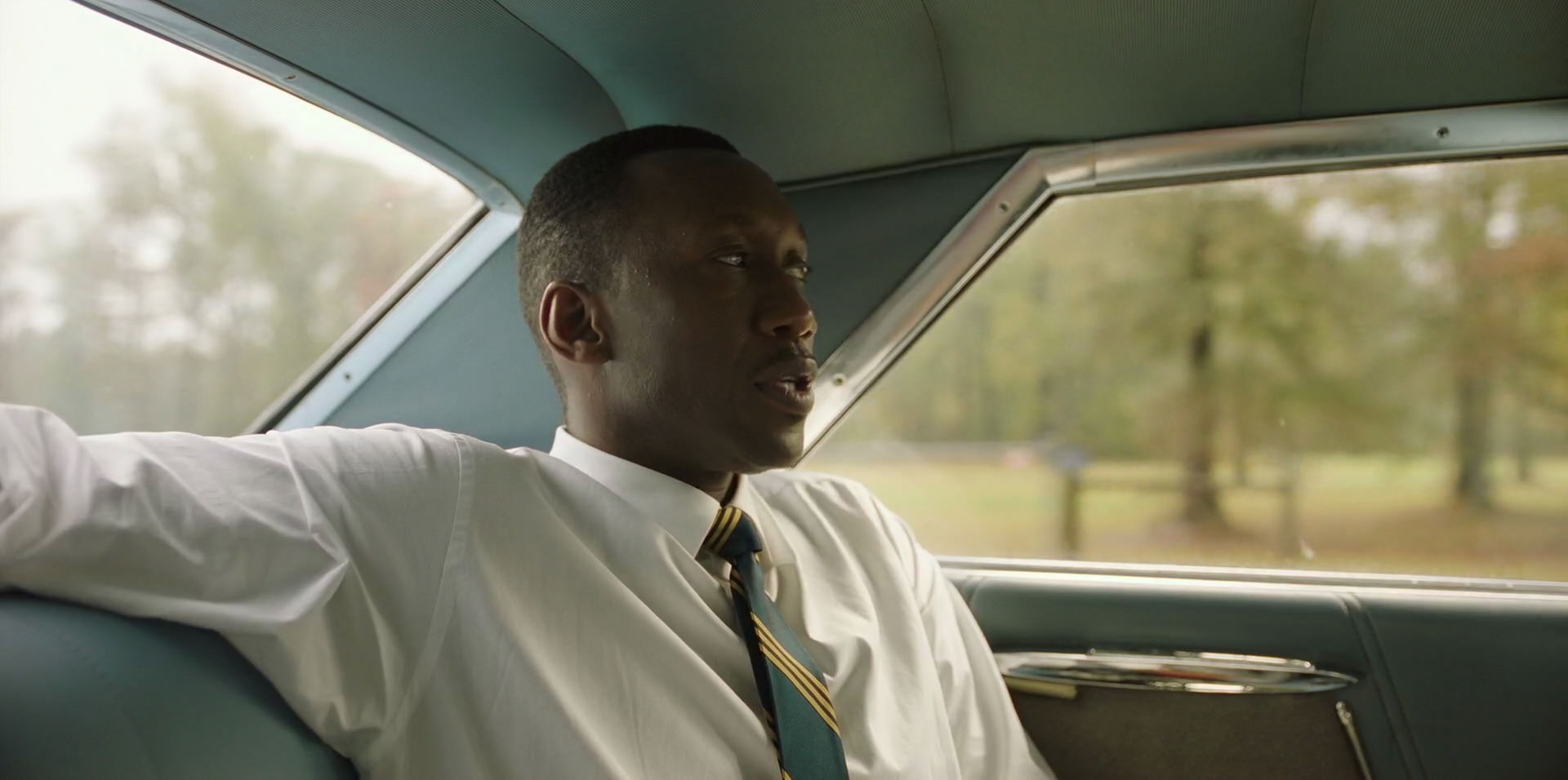 Green Book (2018) movie still 5917