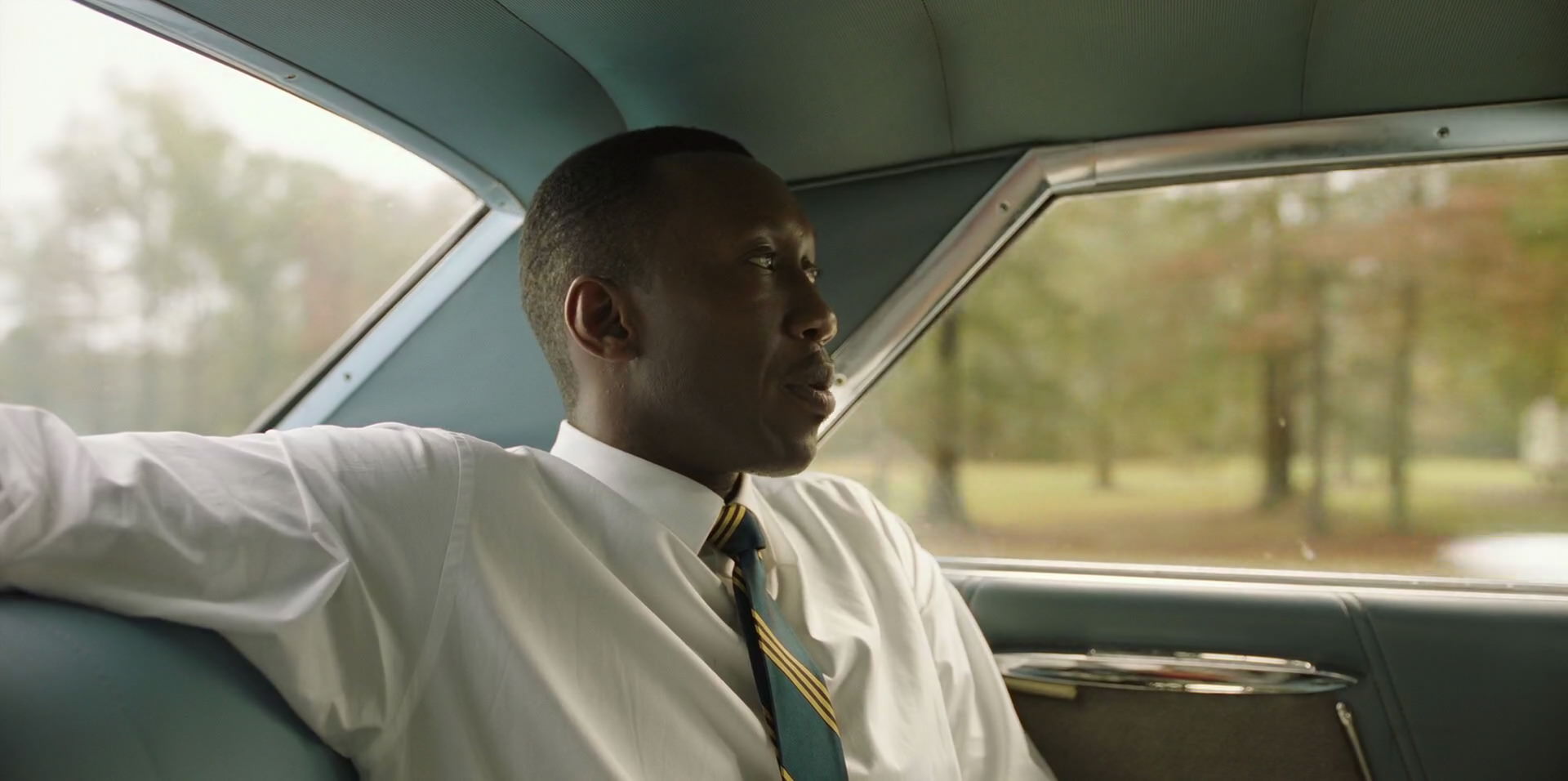 Green Book (2018) HD screenshot 5918