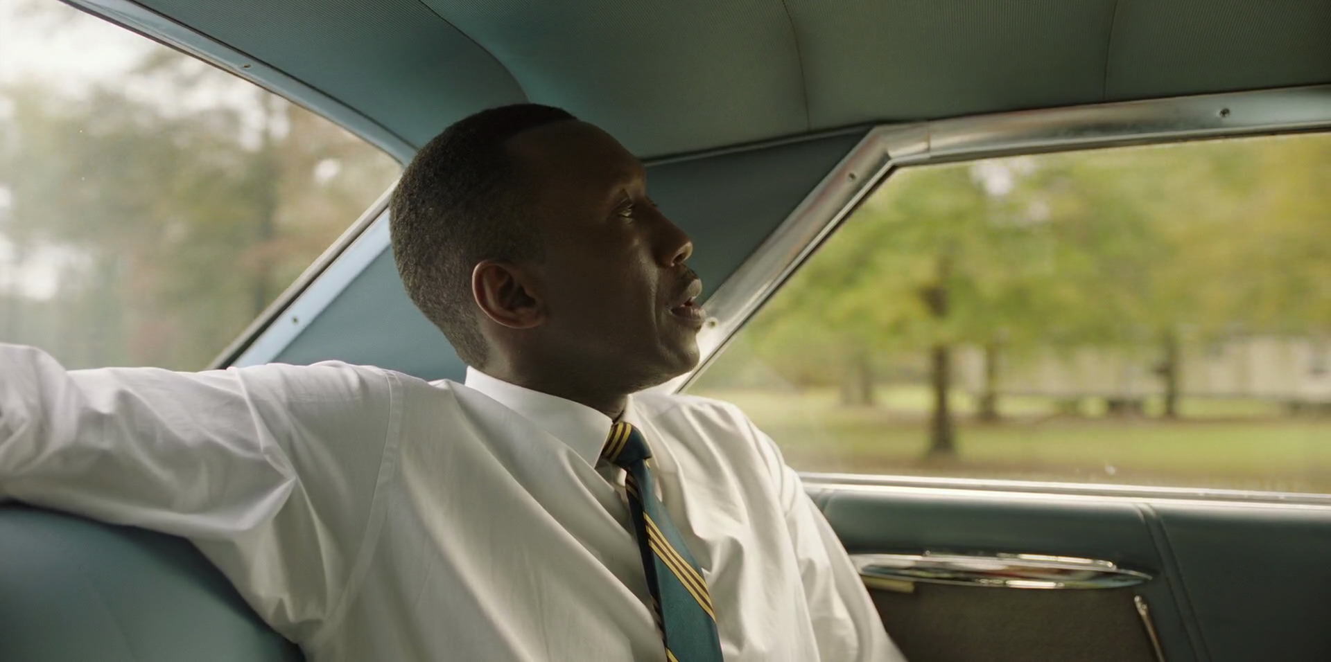 Green Book (2018) HD screenshot 5921