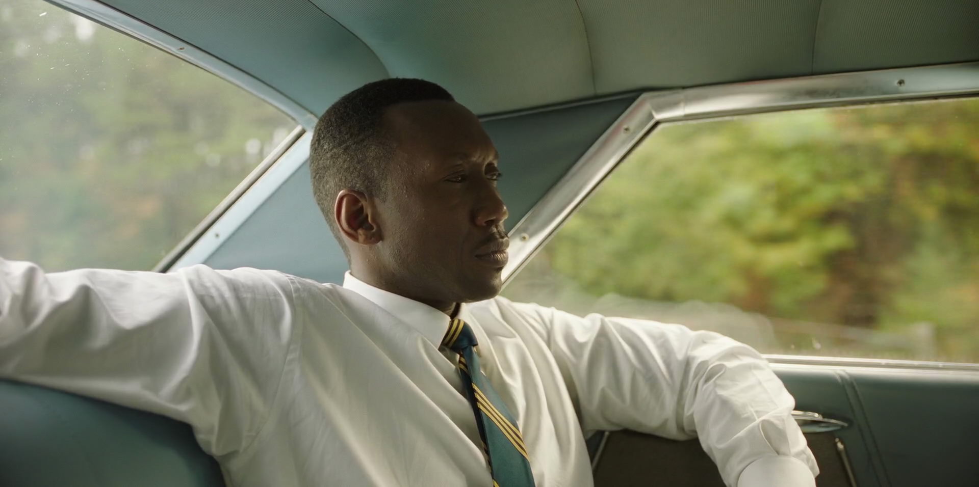 Green Book (2018) HD screenshot 5933
