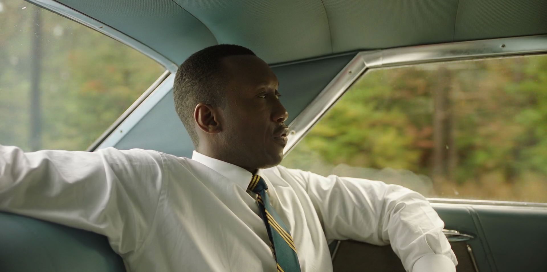 Green Book (2018) HD screenshot 5936