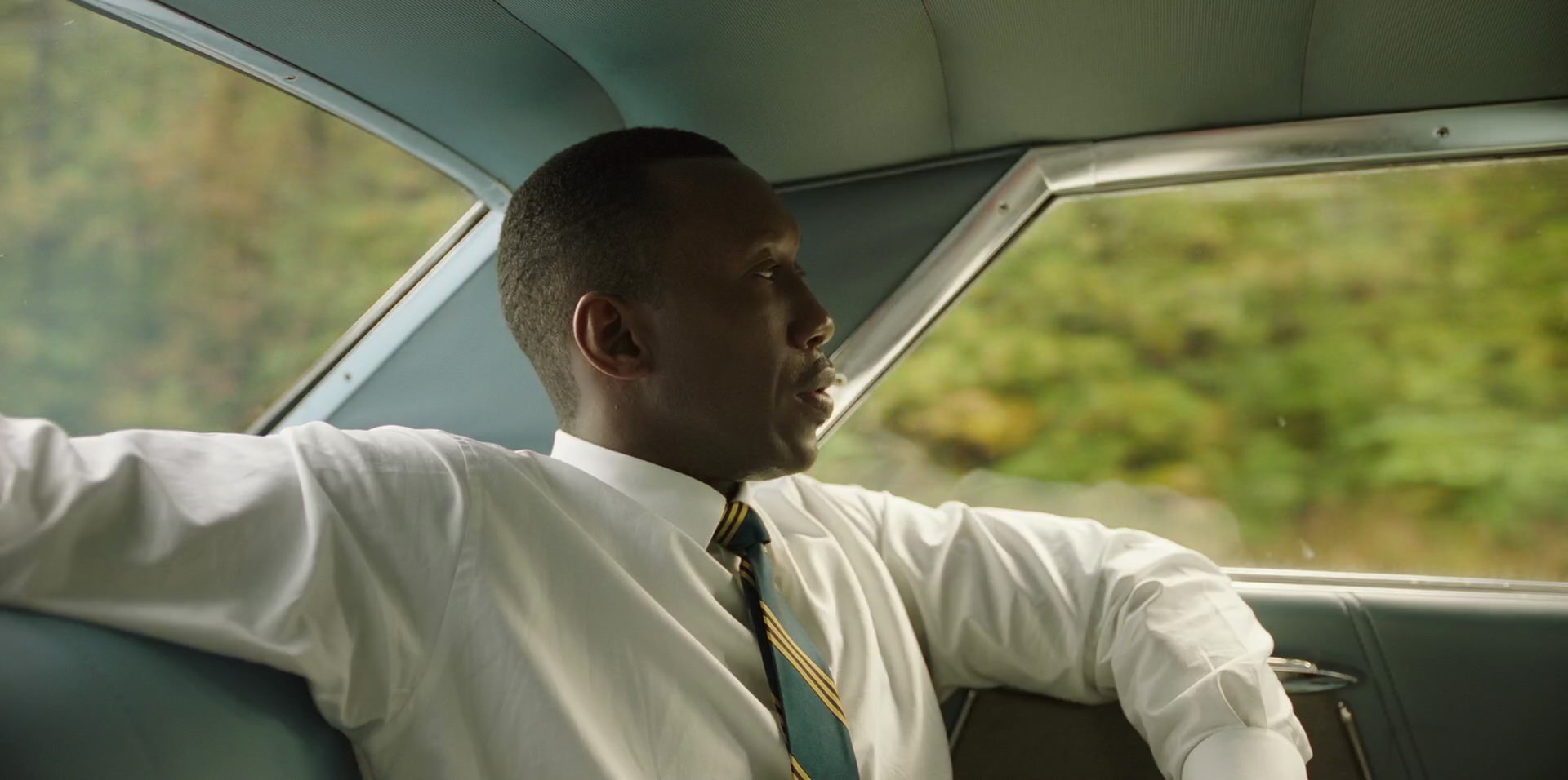Green Book (2018) HD screenshot 5939
