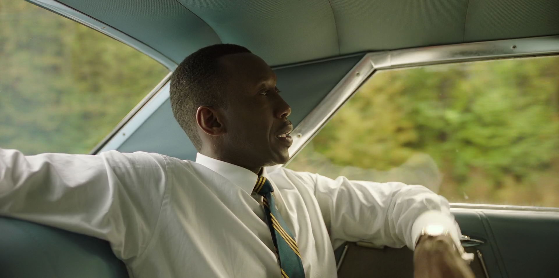 Green Book (2018) HD screenshot 5942