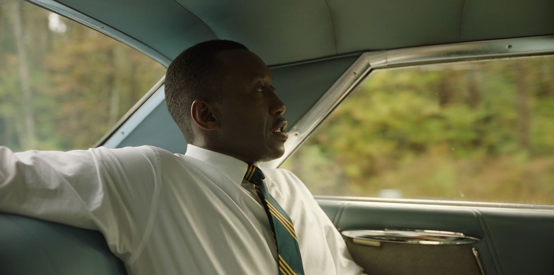 Green Book (2018) movie still 5947