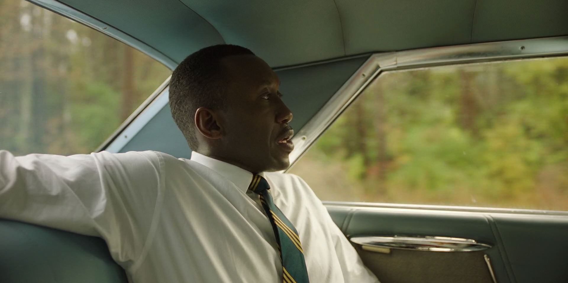 Green Book (2018) HD screenshot 5948