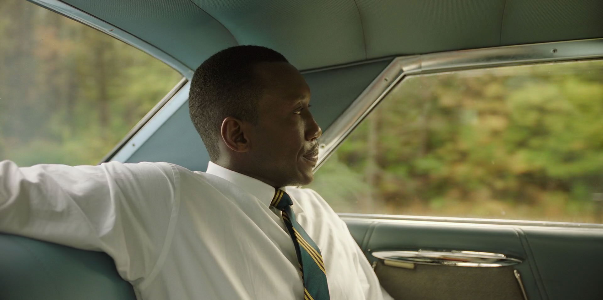 Green Book (2018) HD screenshot 5951