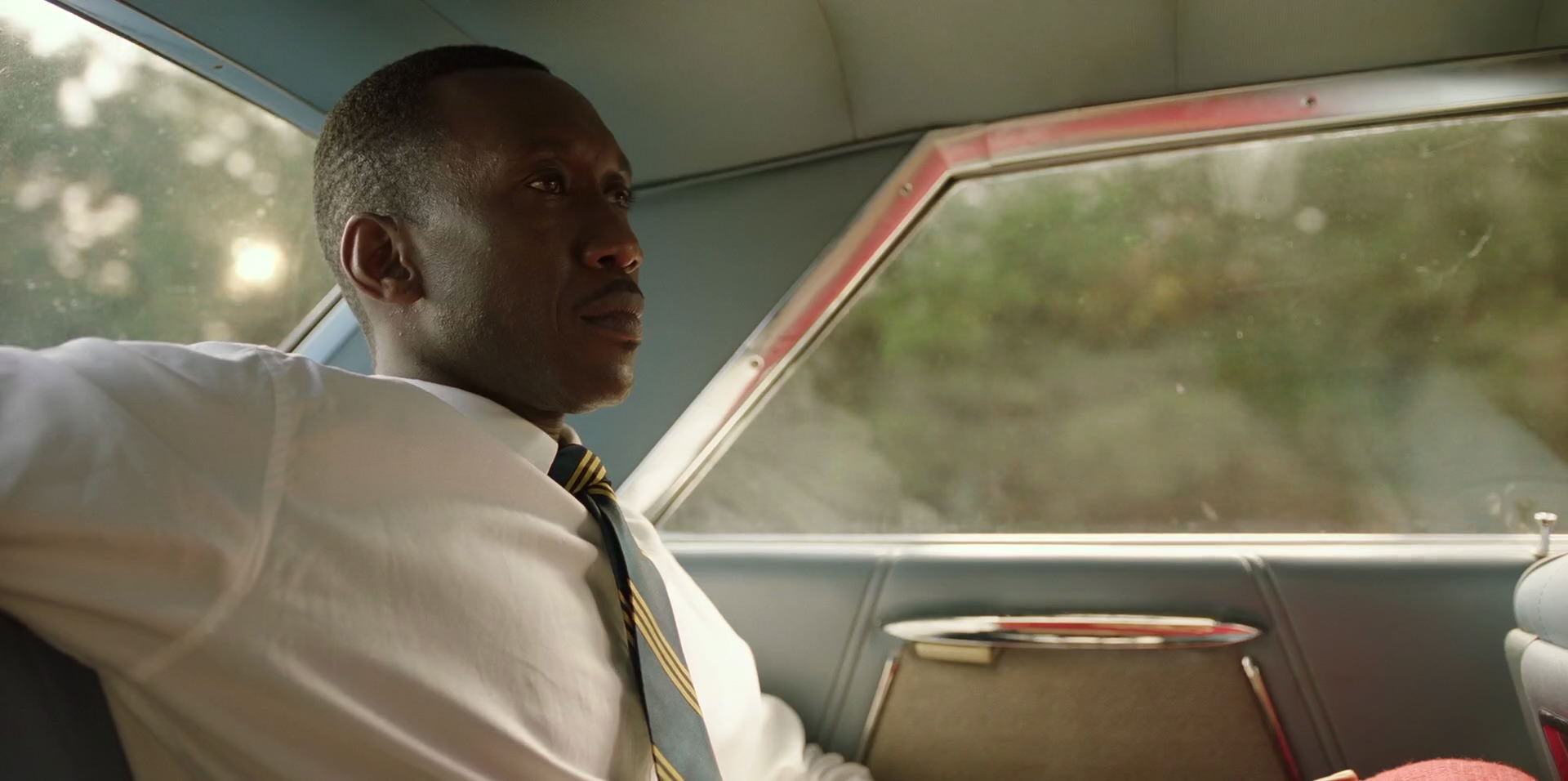 Green Book (2018) HD screenshot 6053