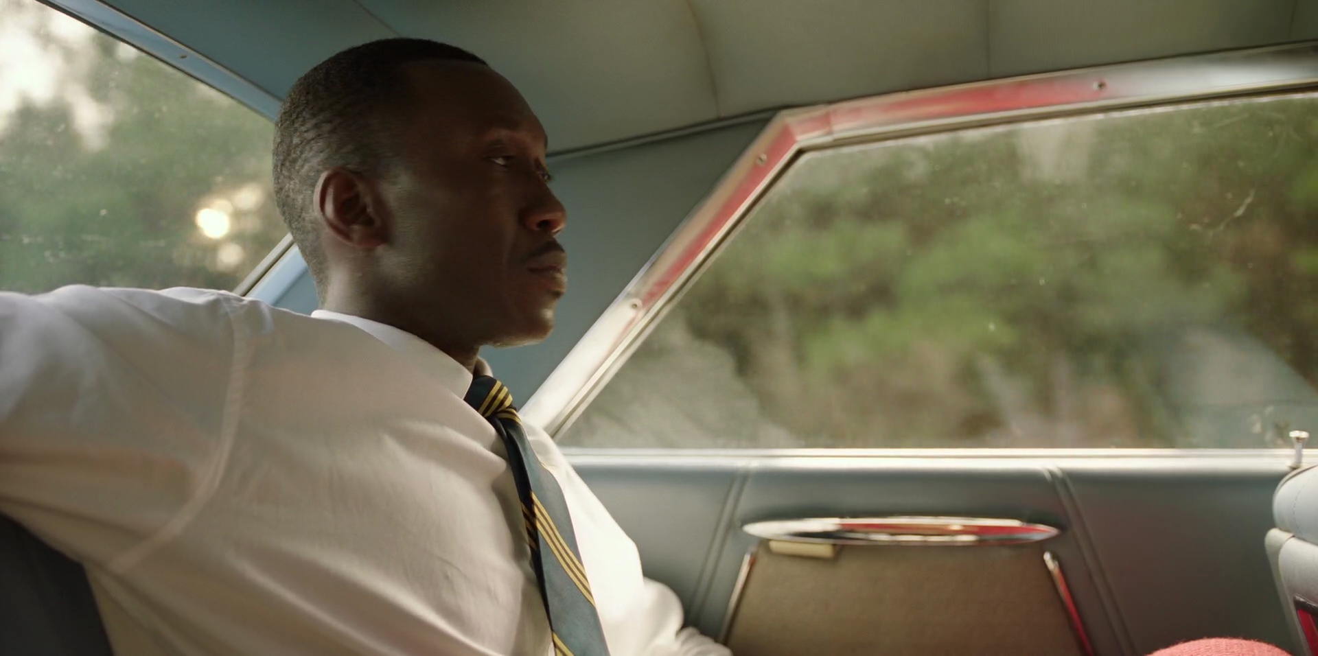 Green Book (2018) HD screenshot 6056