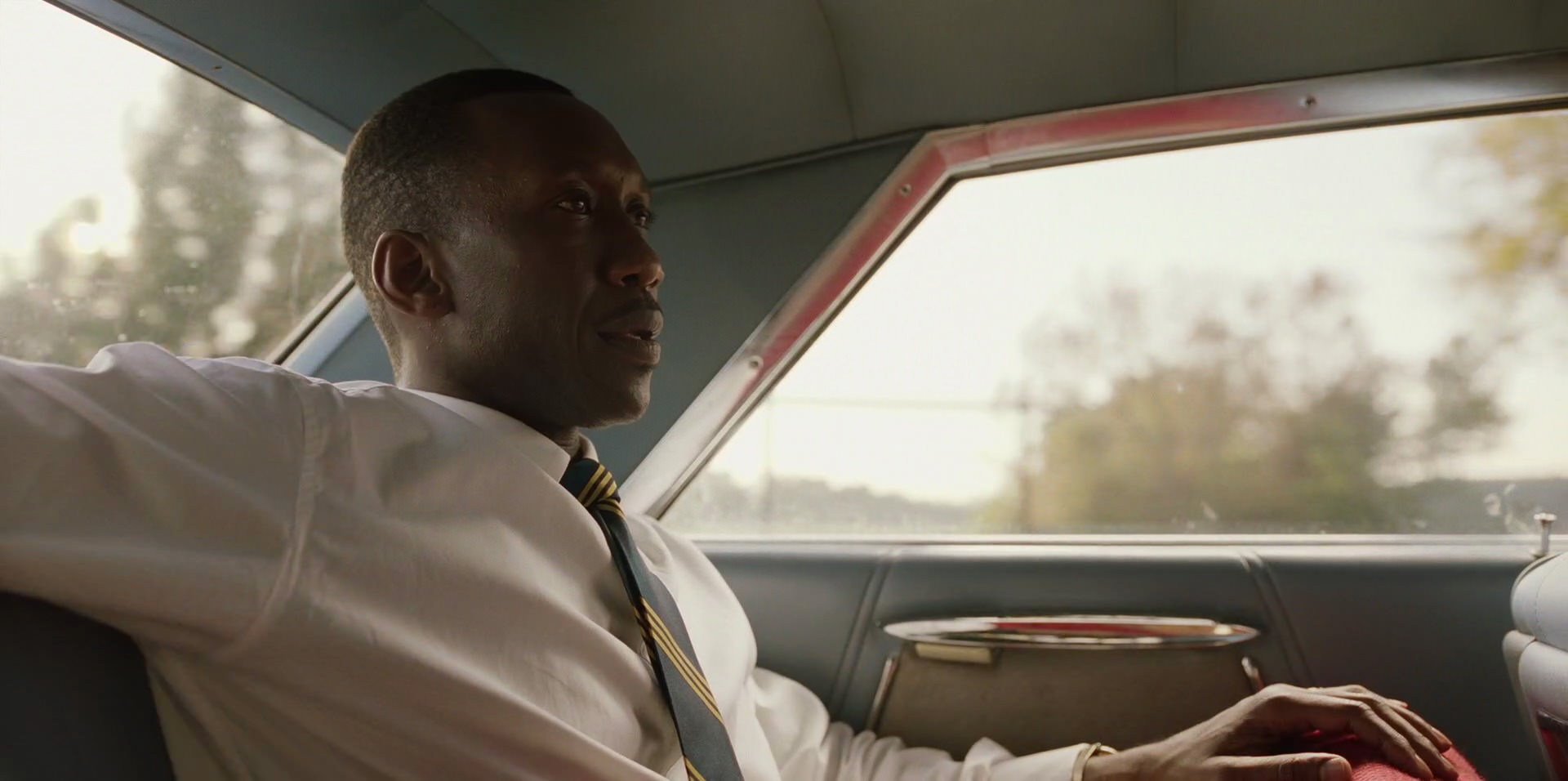 Green Book (2018) HD screenshot 6074