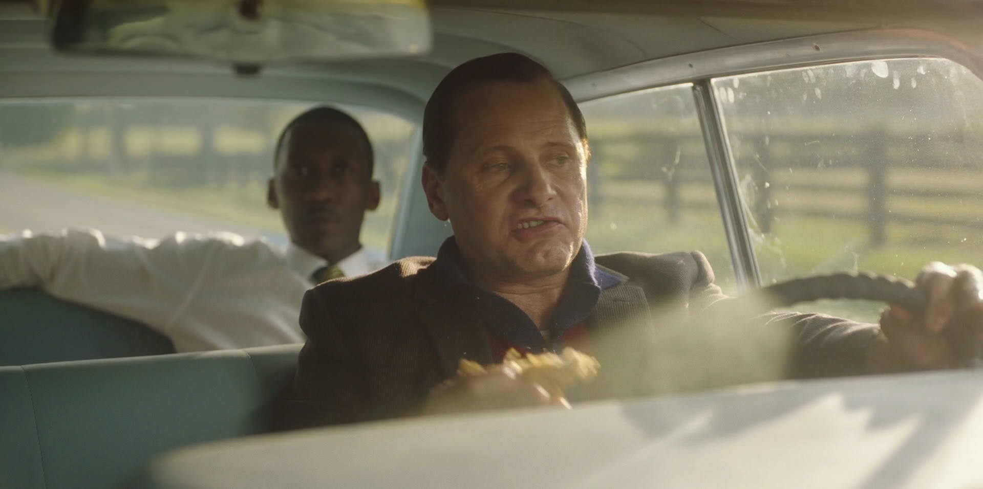 Green Book (2018) HD screenshot 6095