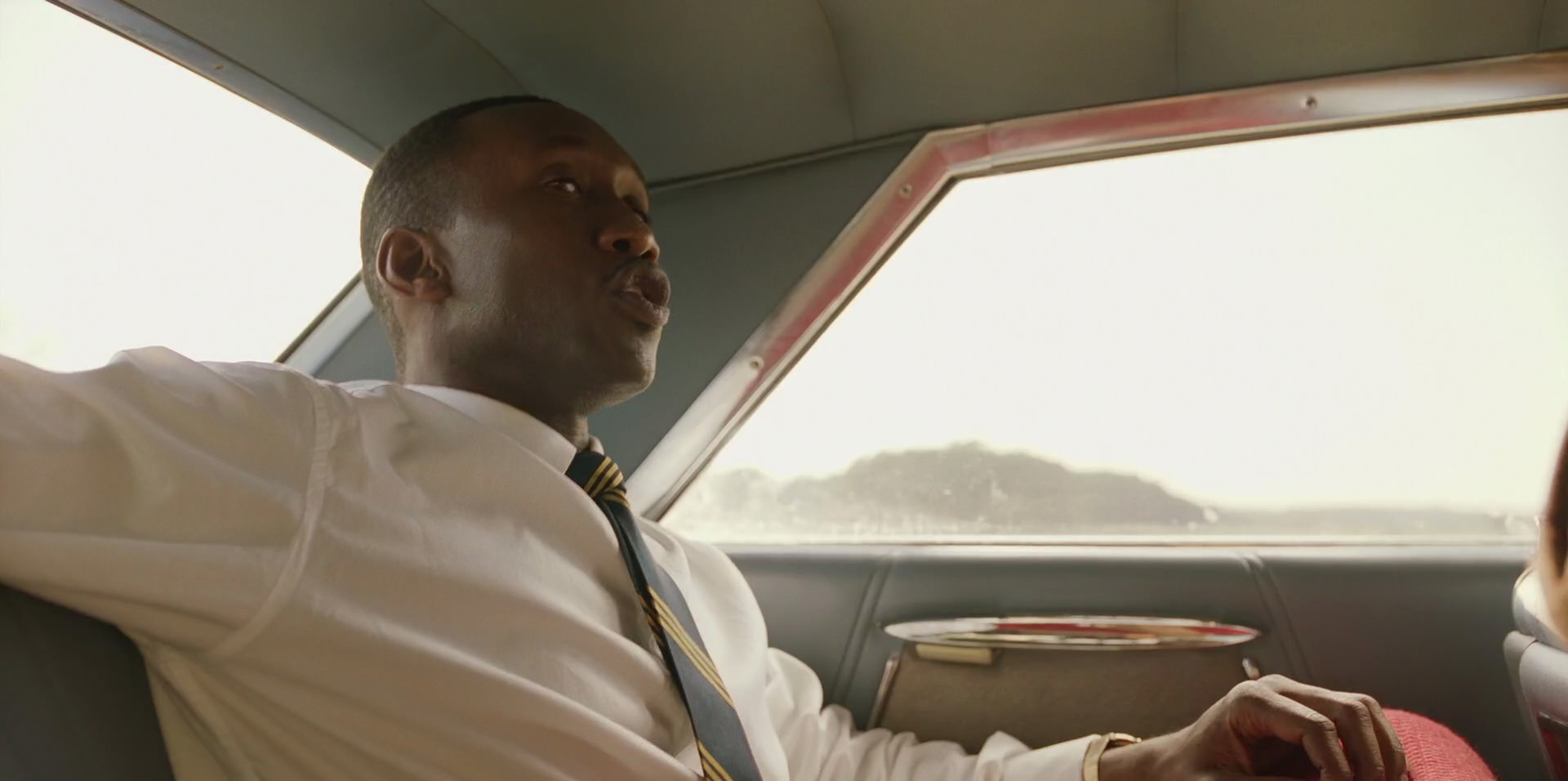 Green Book (2018) HD screenshot 6146