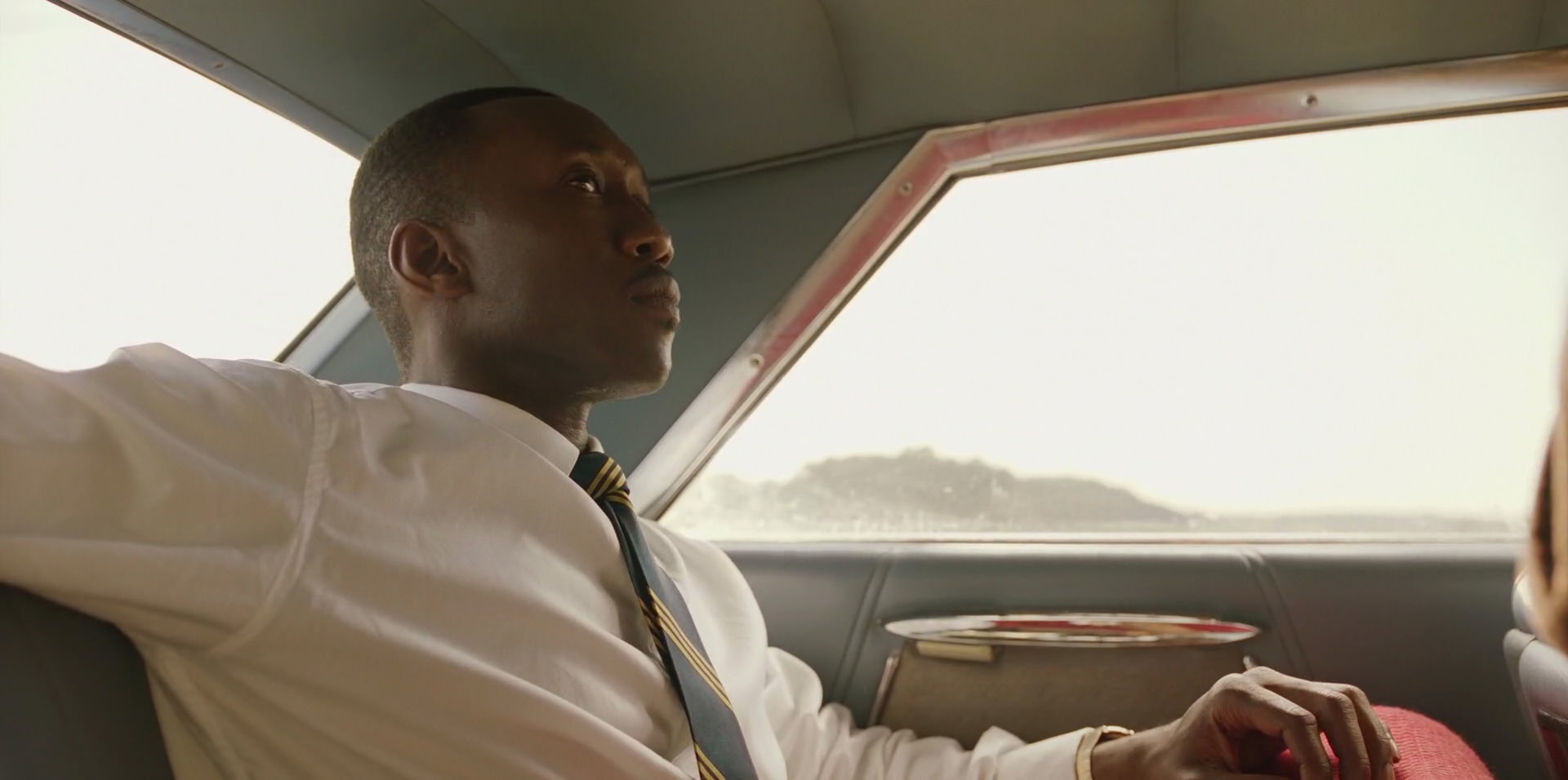 Green Book (2018) HD screenshot 6149
