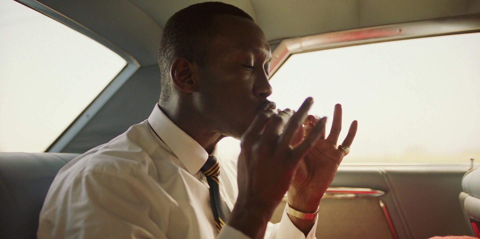 Green Book (2018) movie still 6211