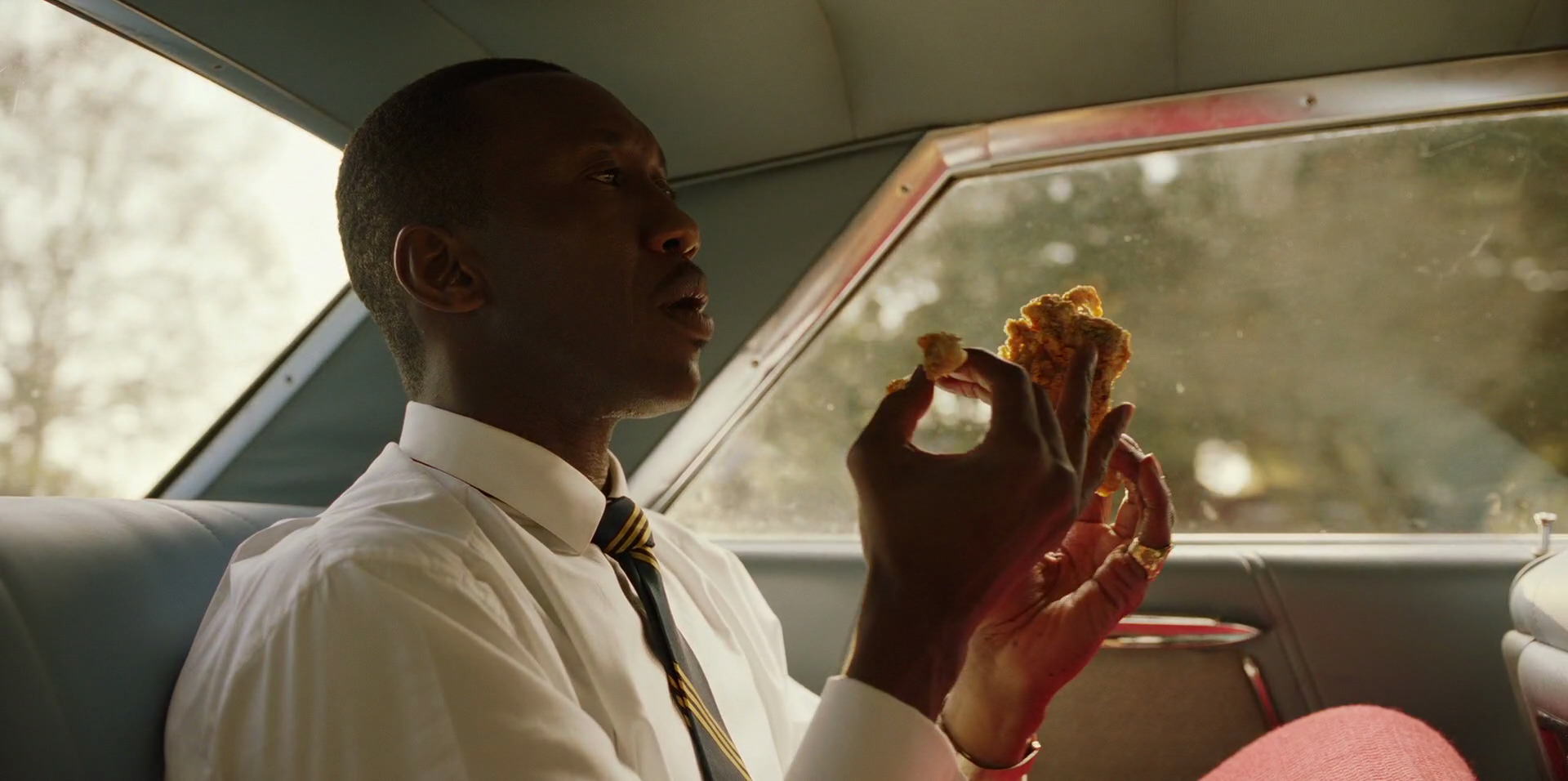 Green Book (2018) movie still 6289